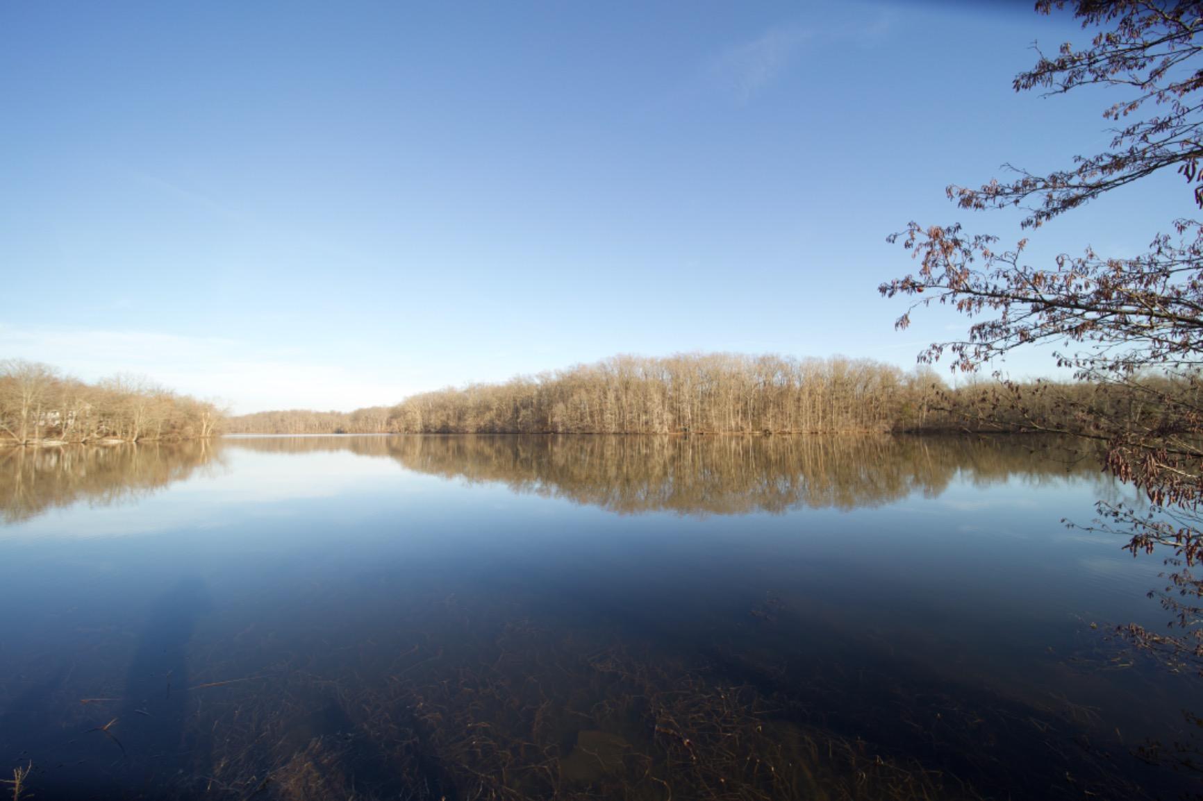 Laowa 12mm f/2.8 Zero-D Ultra-Wide Angle Lens (Canon EF Mount) customer photo 1