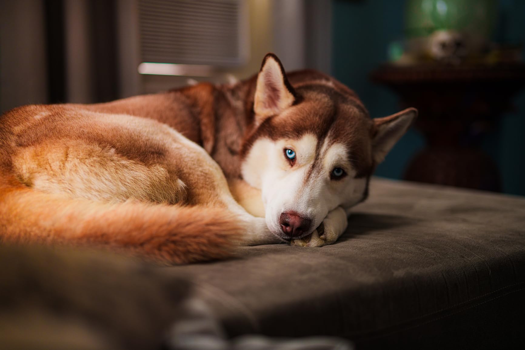Sigma 50mm F1.4 DG DN for Sony E customer photo 2