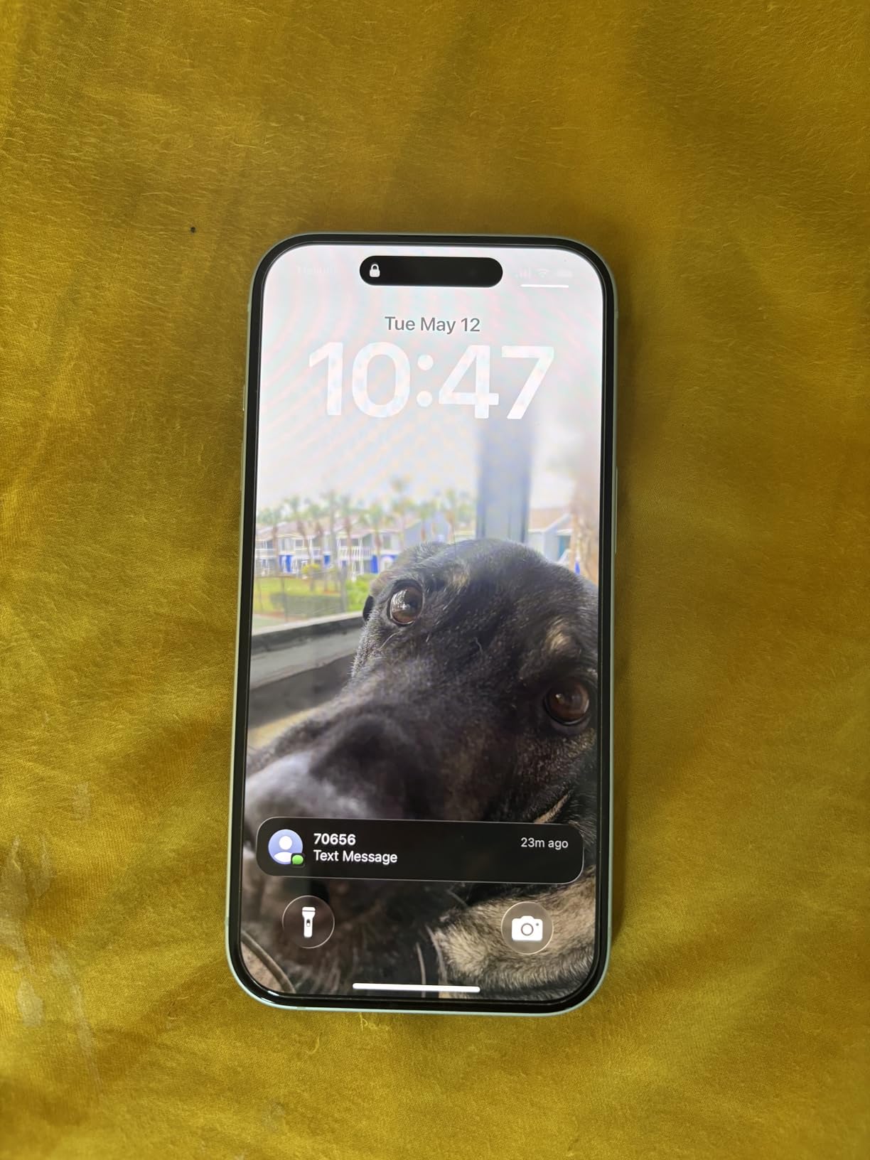Apple iPhone 15, 128GB, Black - Unlocked (Renewed) customer photo 2