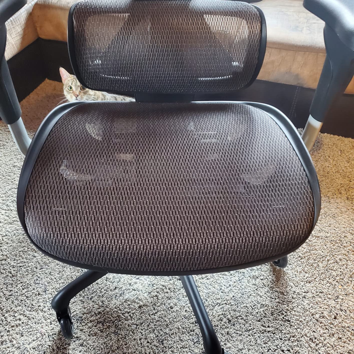 GABRYLLY Ergonomic Office Chair, Big and Tall Mesh Chair with Lumbar Support, 3D armrest - 215 Degree Rotation, Adjustable Headrest & Soft Seat, Durable Computer Chair 350LBS for Work Gaming customer photo 2
