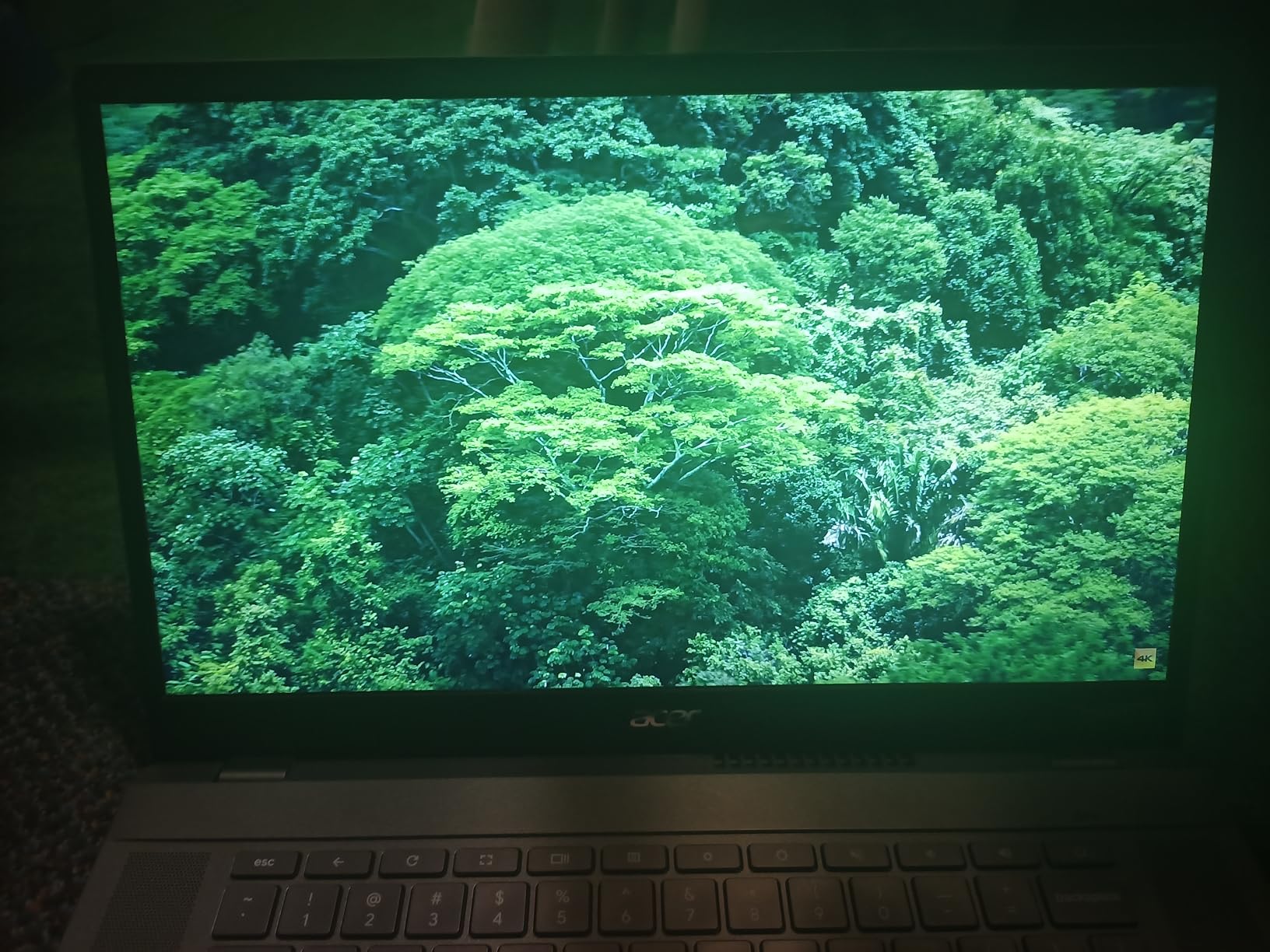 Chromebook Plus 515 Laptop with Google AI - 15.6