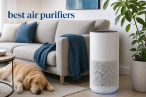best air purifiers