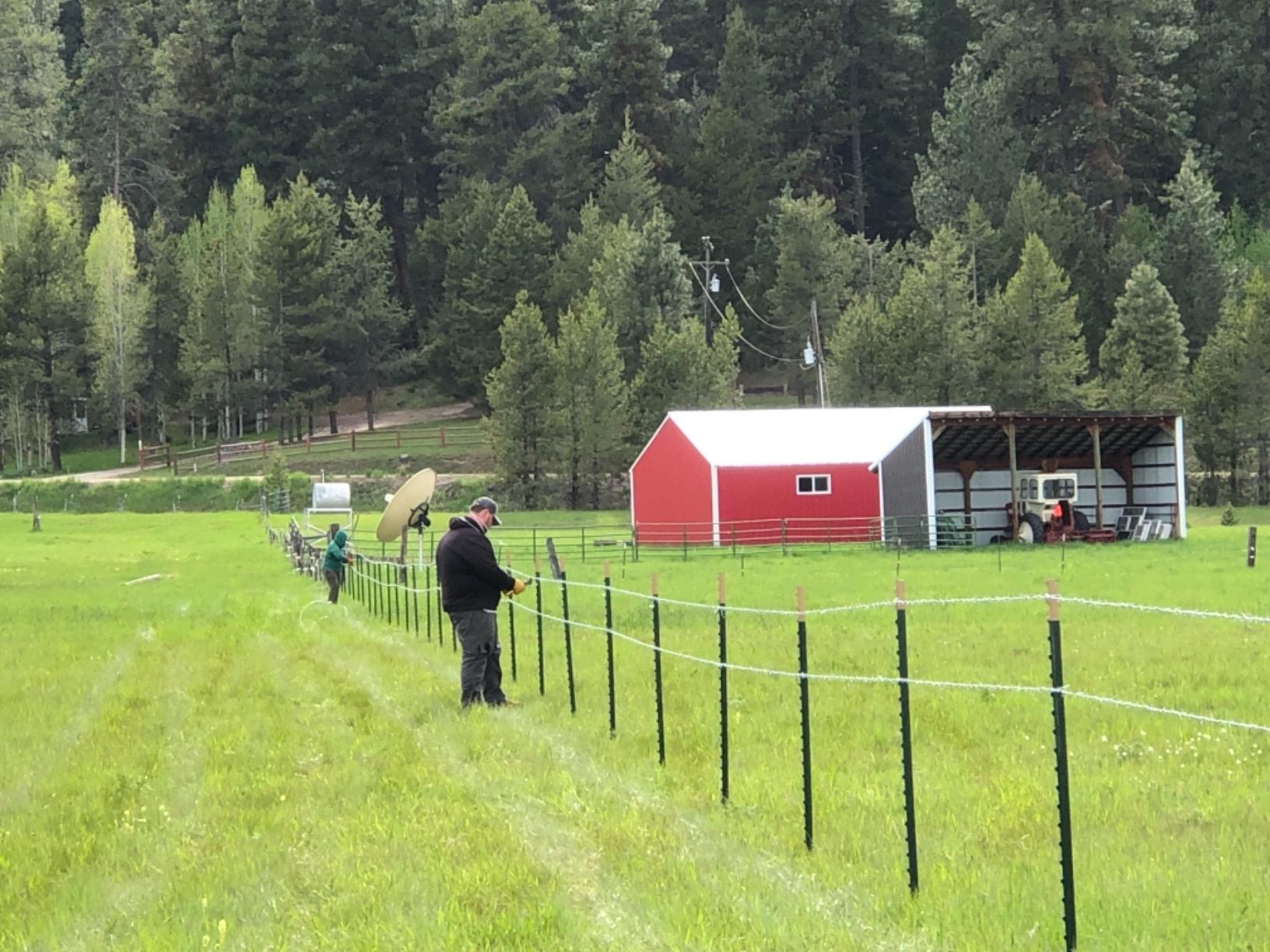 Goldenrod (405) Fence Stretcher-Splicer customer photo 2