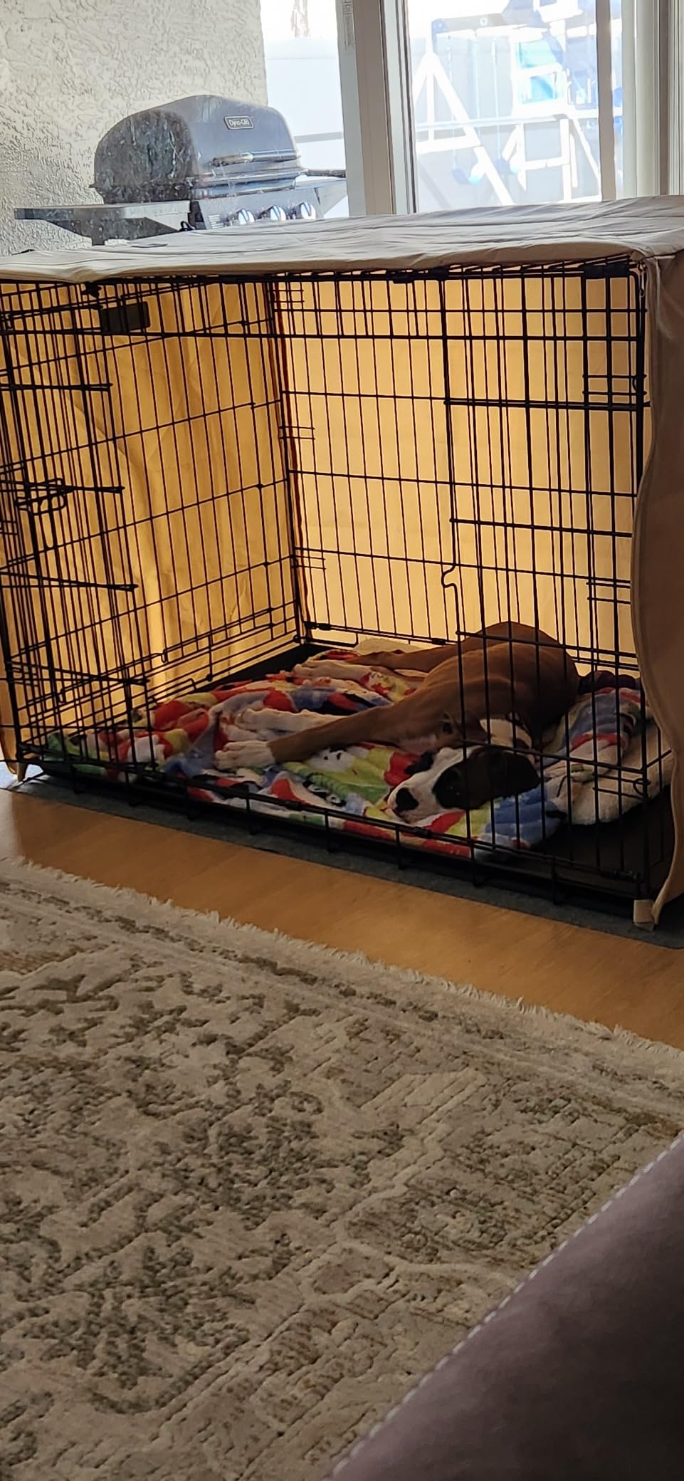 Precision Pet Products Two Door Great Crate Wire Dog Crate, 48 Inch, For Pets 90-125 lbs, With 5-Point Locking System customer photo 2