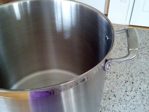 Tramontina Gourmet Stainless Steel 16-Quart Stock Pot with Lid customer photo 2
