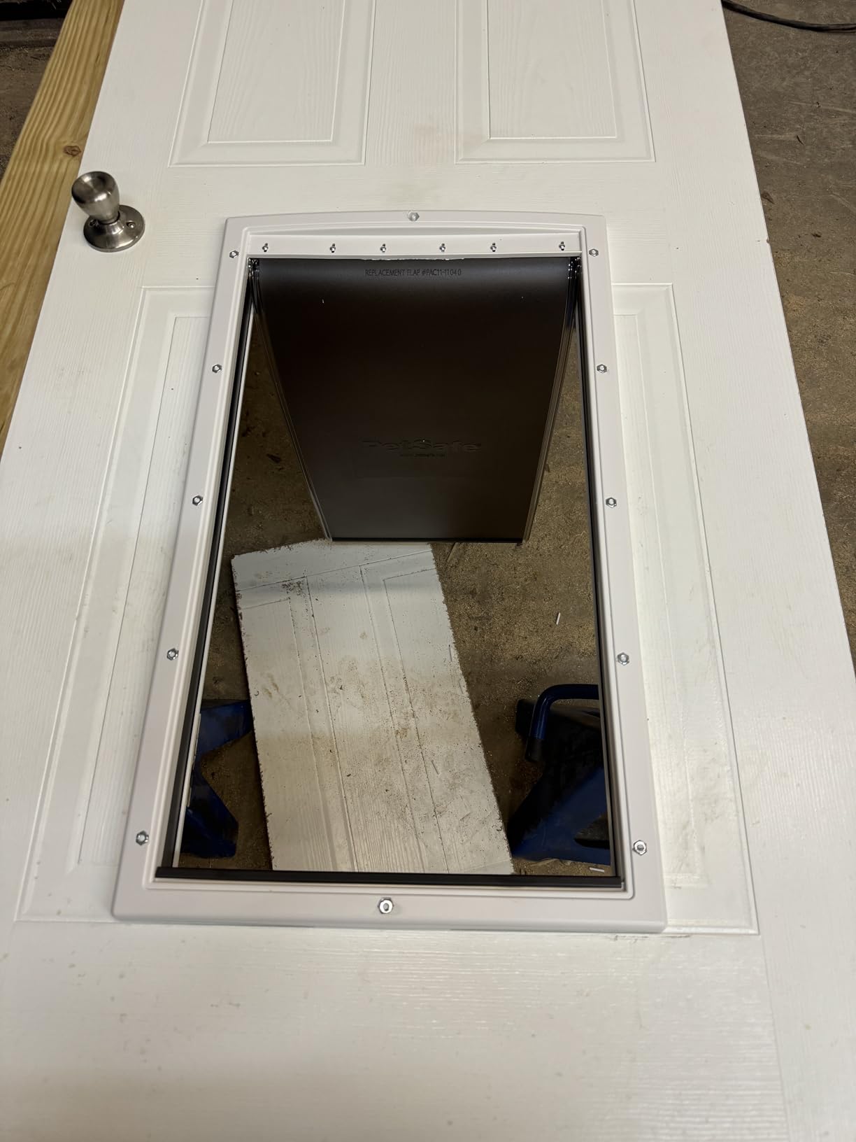 PetSafe Plastic Dog & Cat Door, Pets Up to 40 lb, Paintable, Medium | Flap Opening 8 1/8 in W x 12 1/4 in H, Snap-on Closing Panel, Paintable Frame, Easy DIY Install customer photo 1