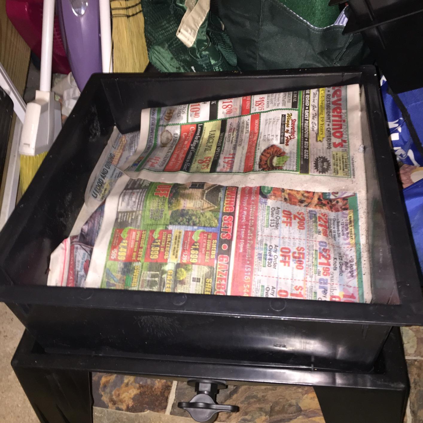 Worm Factory 360 Black US Made Composting System for Recycling Food Waste at Home - 4 Trays for Efficient Vermicomposting customer photo 1