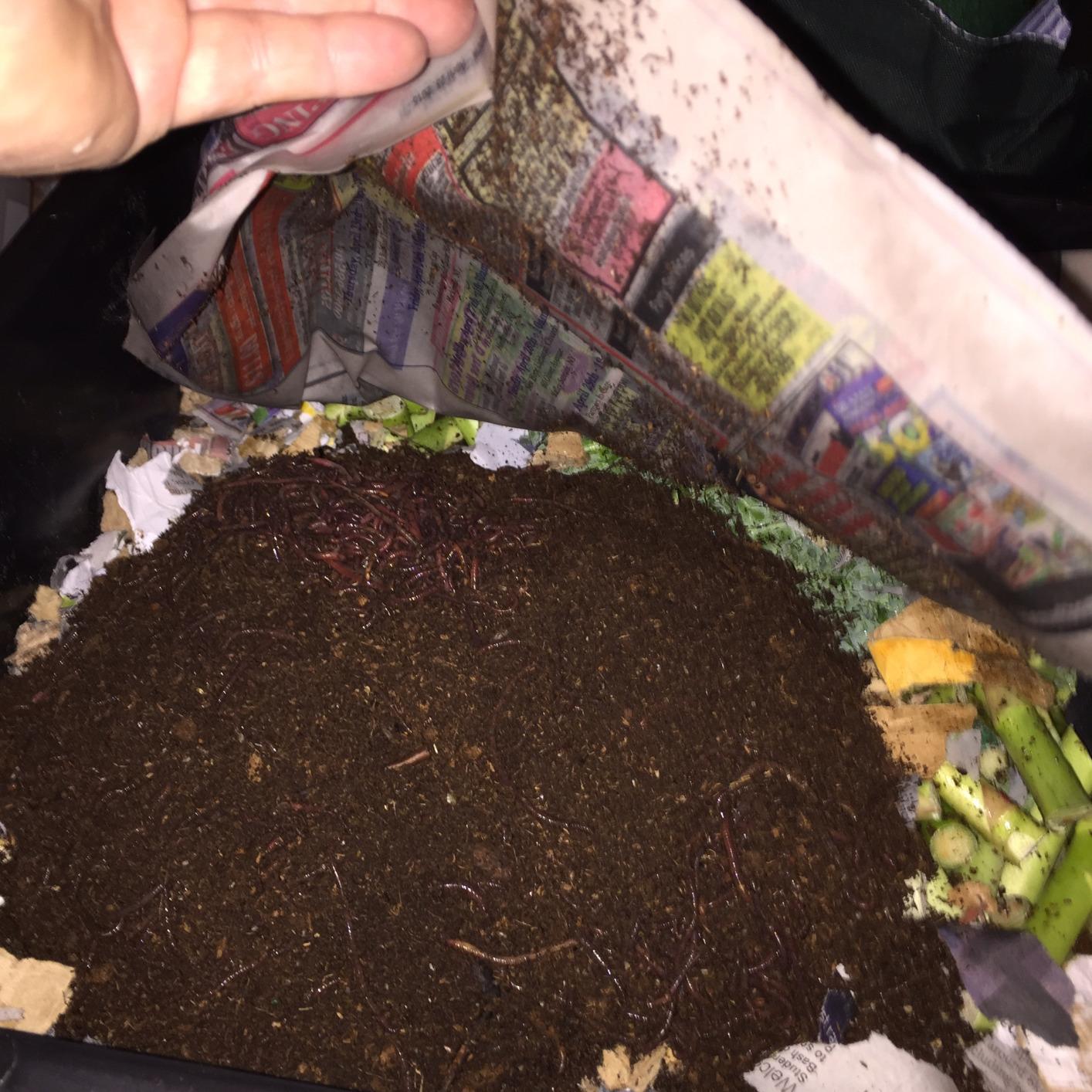 Worm Factory 360 Black US Made Composting System for Recycling Food Waste at Home - 4 Trays for Efficient Vermicomposting customer photo 2