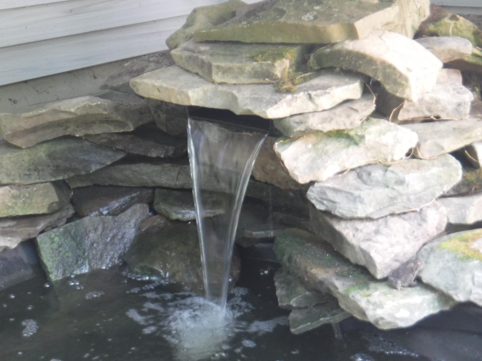 Tetra Water Garden Pond Pump, 1000 GPH, Powers Waterfalls, Filters and Fountains for Ponds 500 To 1000 Gallons customer photo 1
