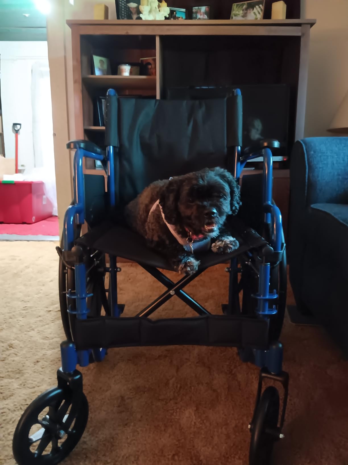 Drive Medical Blue Streak Lightweight Wheelchair with Footrests, 18-Inch Seat | Portable Folding Wheelchair with Desk Arms, Durable Steel Frame and Swing-Away Footrests customer photo 1