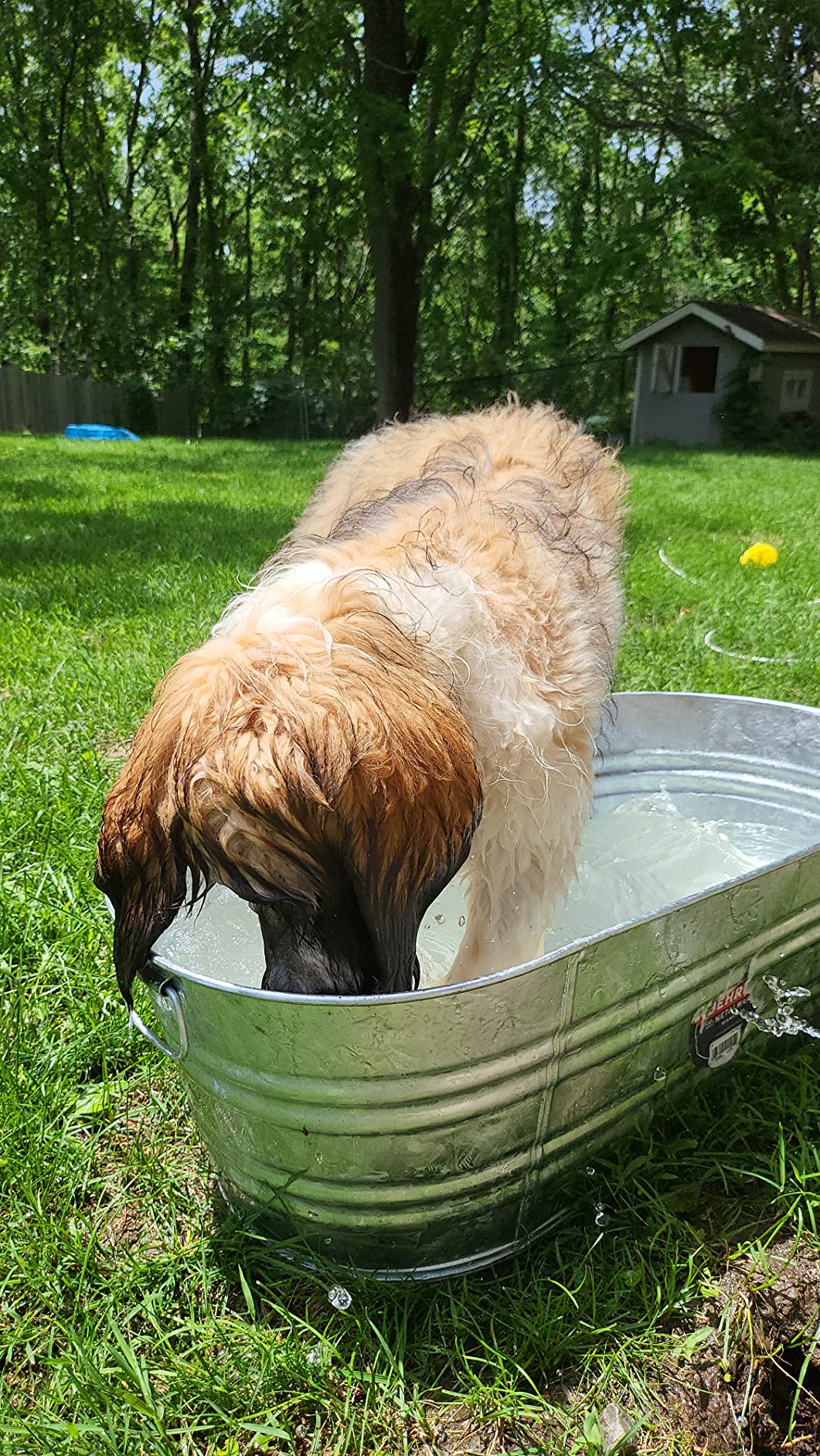 Behrens 16 Gallon Round Galvanized Weatherproof Steel Tub with Wire Handle customer photo 2