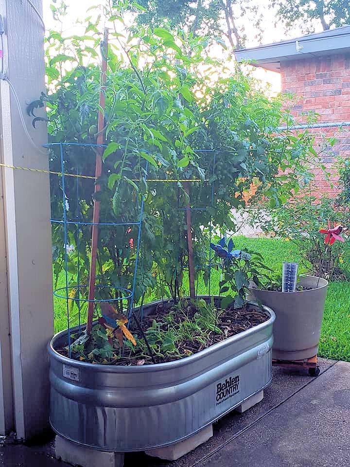 ST216 Shallow Galvanized Steel Round End Stock Tank, Approximately 70 Gallons customer photo 2
