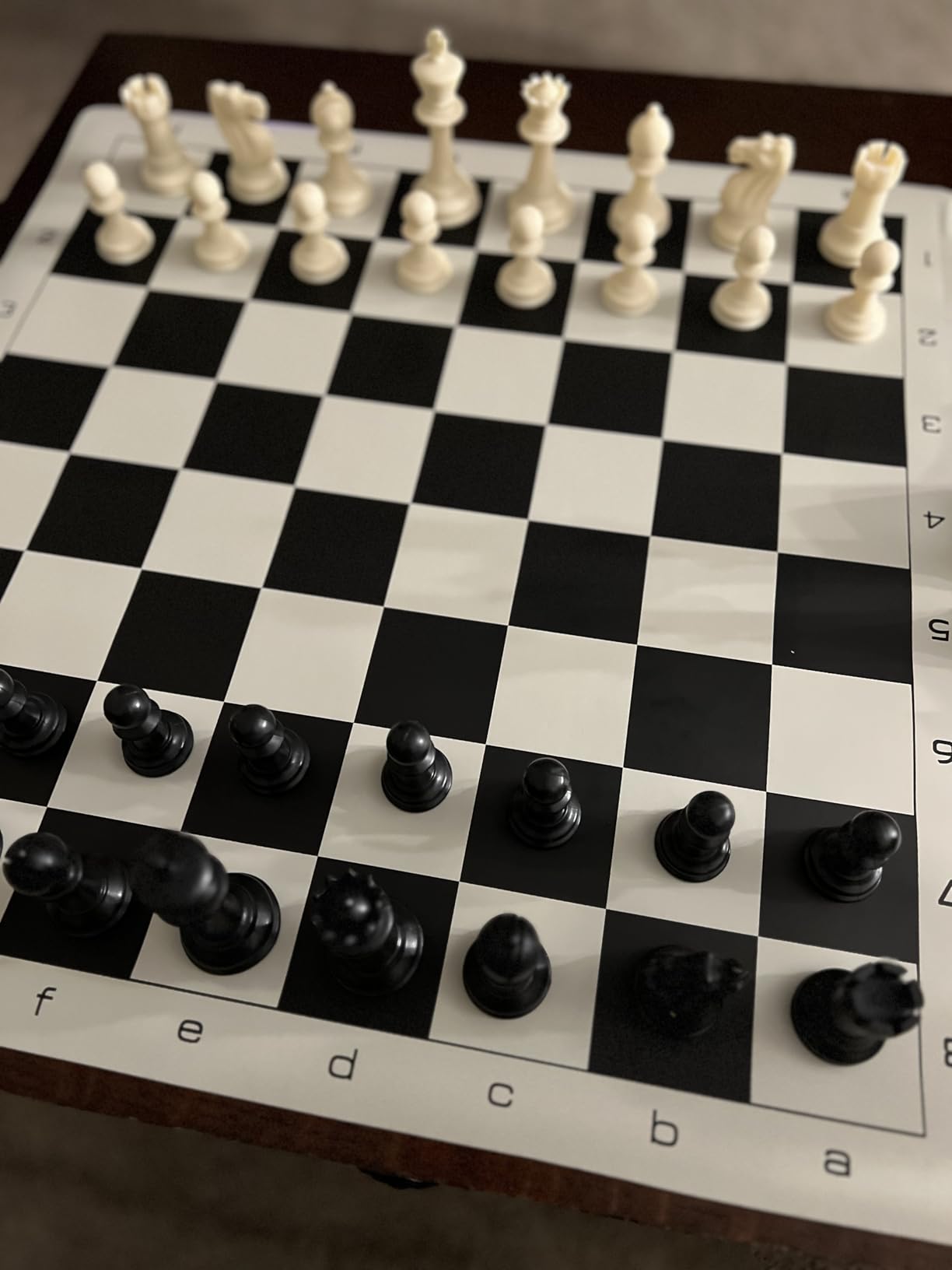 WE Games Best Value Tournament Chess Set - Includes 34 Chess Pieces, Roll Up Vinyl Chess Board, Chess Pieces, Chess Bag and Equalizer Dice, Travel Chess Sets for Adults customer photo 1