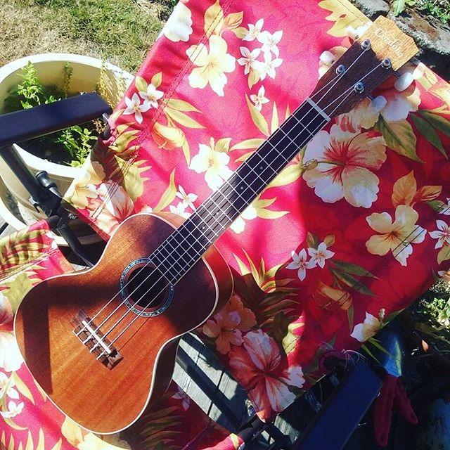 Cordoba 15CM Concert Ukulele - Hand Crafted With Mahogany Top, Back & Sides customer photo 2