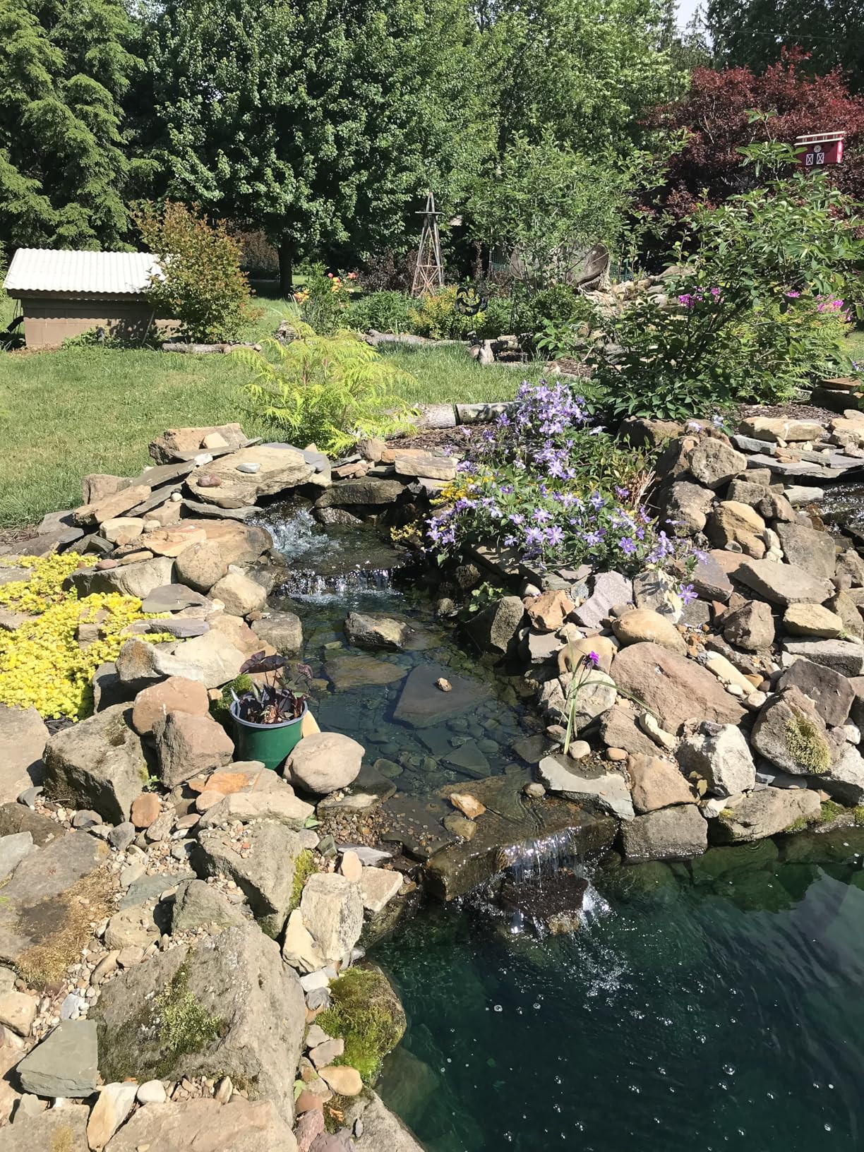 Atlantic Water Gardens BF1600 Pond Filter & Waterfall Spillway, 16-inch customer photo 1