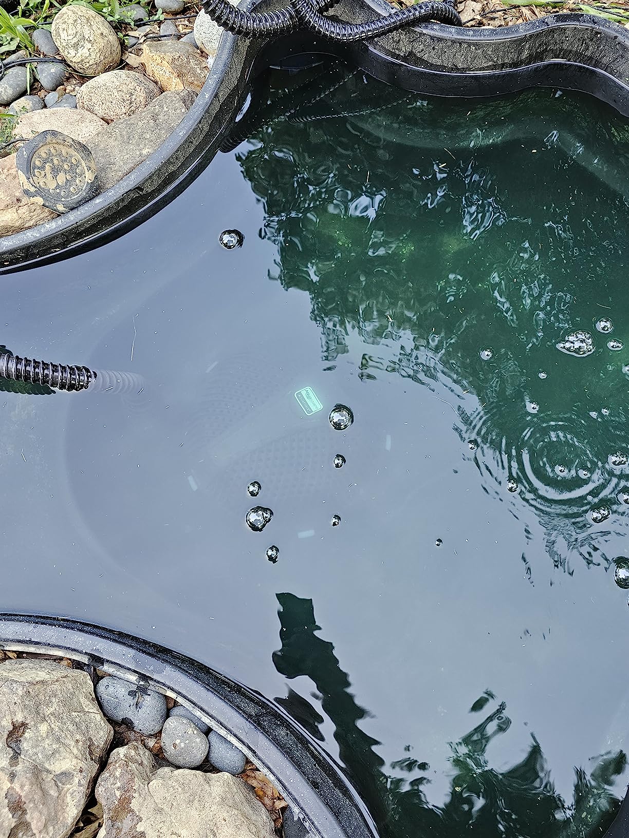 Aquascape AquaForce 1000 Solids Handling Submersible Pond Pump, Asynchronous Waterfall and Water Feature Pump with Pre Filter Cage and 25 ft Cord, 91011 customer photo 2