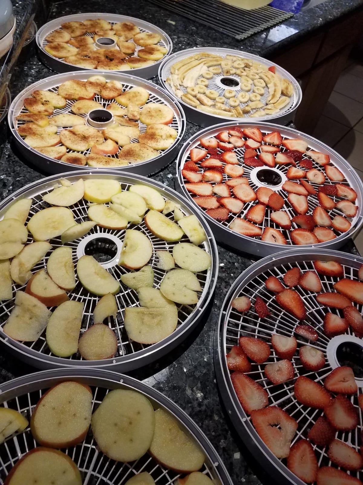 NESCO FD-75A Snackmaster Pro Food Dehydrator, For Snacks, Fruit, Beef Jerky, Gray customer photo 2