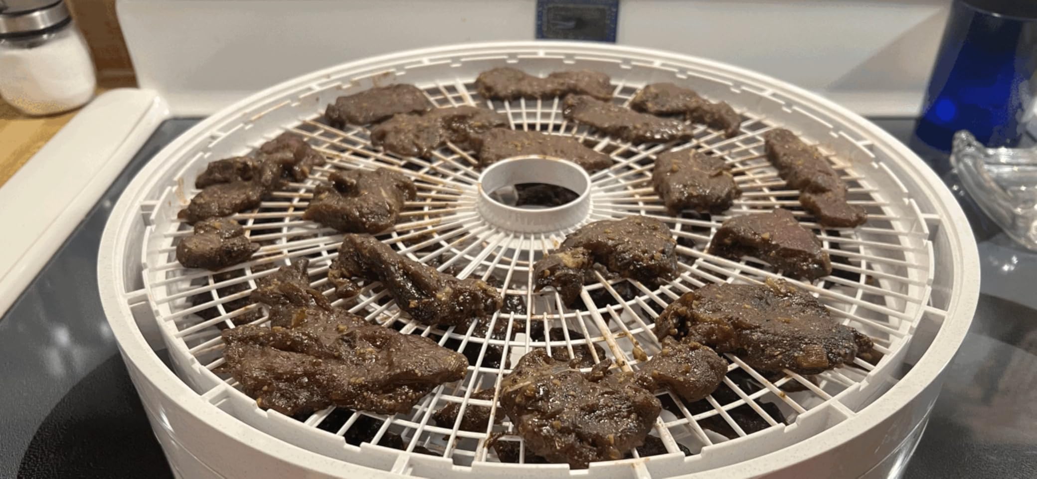 NESCO FD-1040 Gardenmaster Digital Pro 4 Tray Food Dehydrator customer photo 2