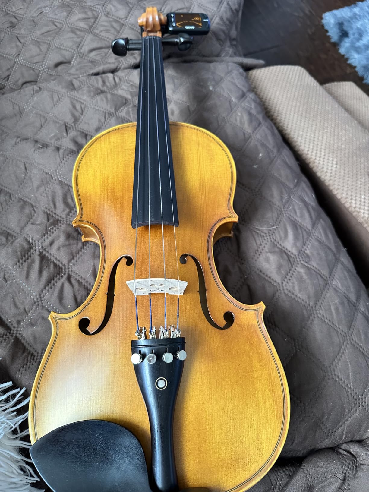 Cecilio Full Size 4/4 Violin with Hard Case & Shoulder Rest - Solidwood Ebony Fitted Violin with Premium Strings, Ideal for Beginners customer photo 1