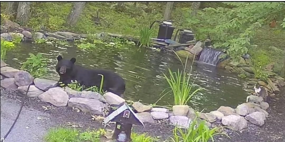 Danner Manufacturing Pondmaster Clearguard 8,000 Gallon Capacity, Pressurized Pond Filter, 05630 customer photo 2