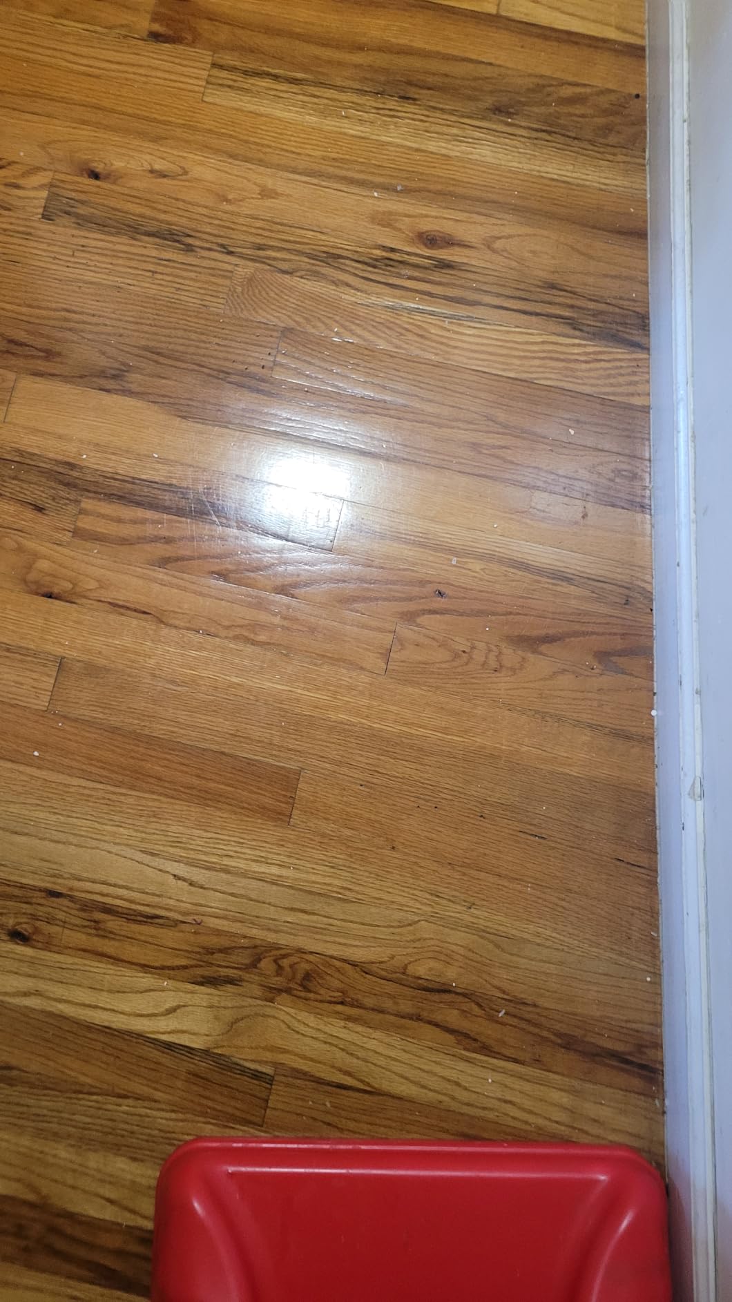 Quick Shine Hardwood Floor Luster 27 oz, Natural Looking Shine customer photo 2