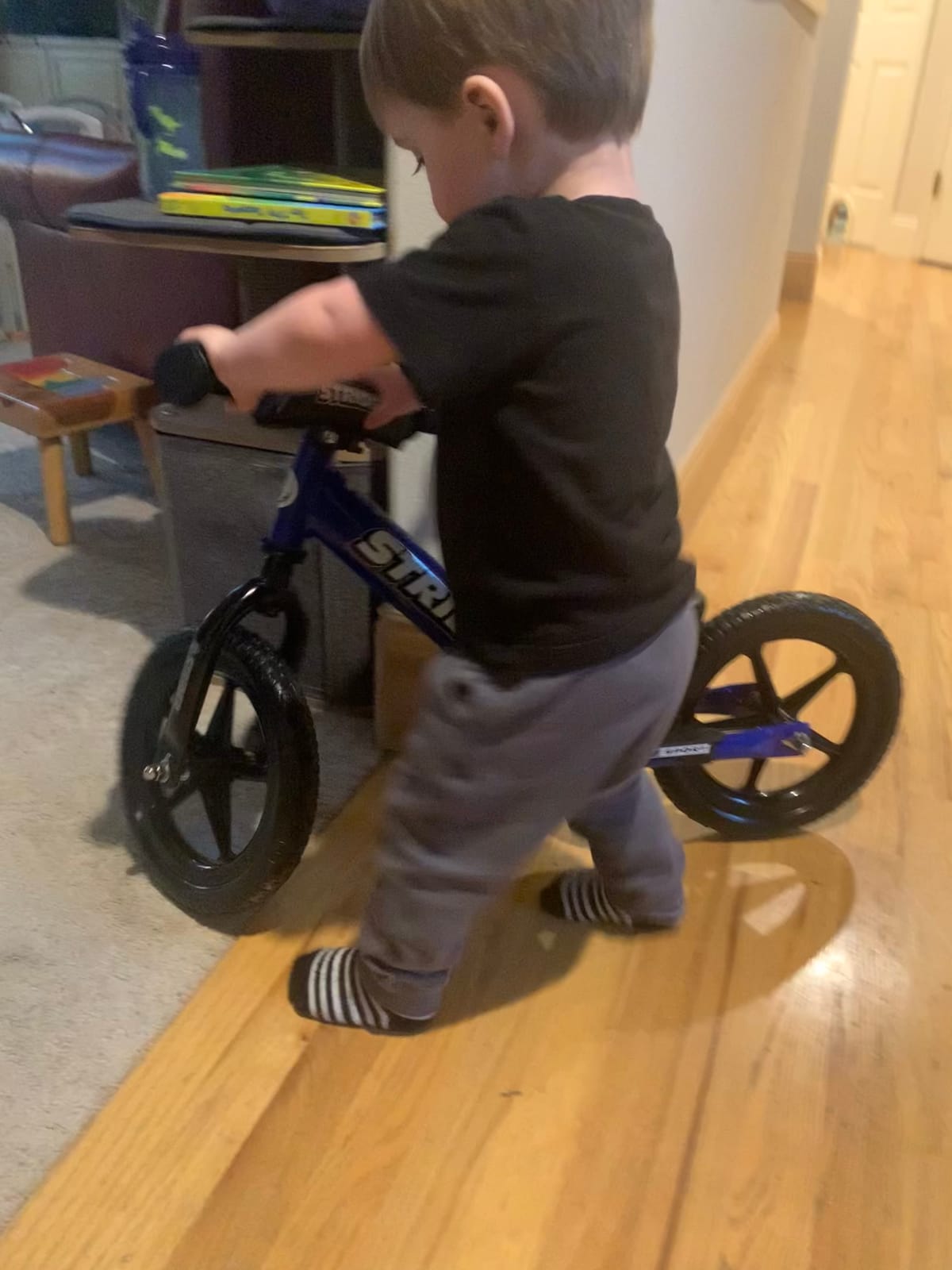 Strider 12 Sport, No Pedel Balance Bike for Kids Ages 1-4 Years, Blue | No-Pedal Balance Bike for Toddlers, Safety Pad, Adjustable Seat and Handlebars Lightweight Frame, Never-Flat Tires customer photo 2