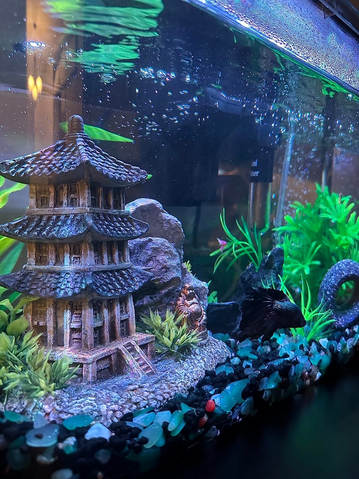 Koller Products 5-Gallon Aquarium Kit with LED Lighting and Power Filter, Ideal for a Variety of Tropical Fish customer photo 1