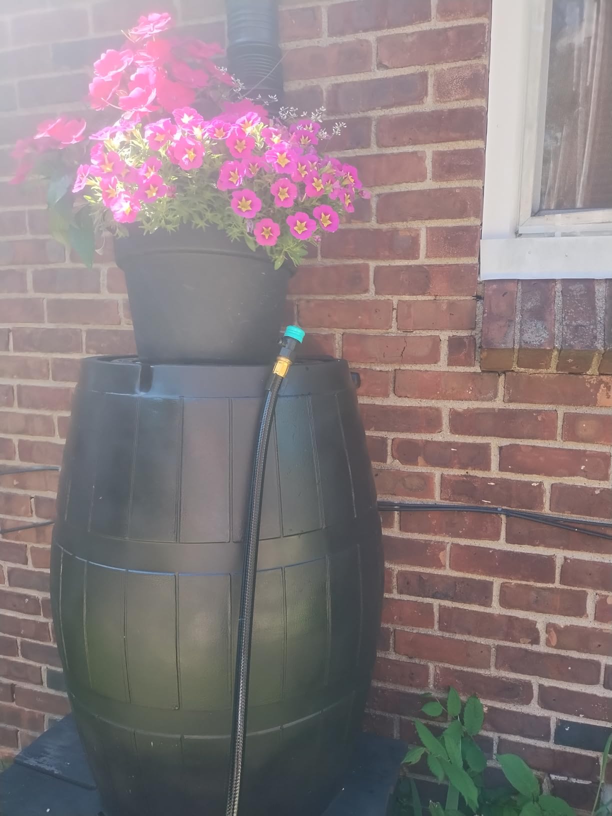 FCMP Outdoor Raincatcher 4000 Rain Barrel, Flat-Back Rainwater Catcher with Spigots, 50 Gallon, Brown customer photo 1