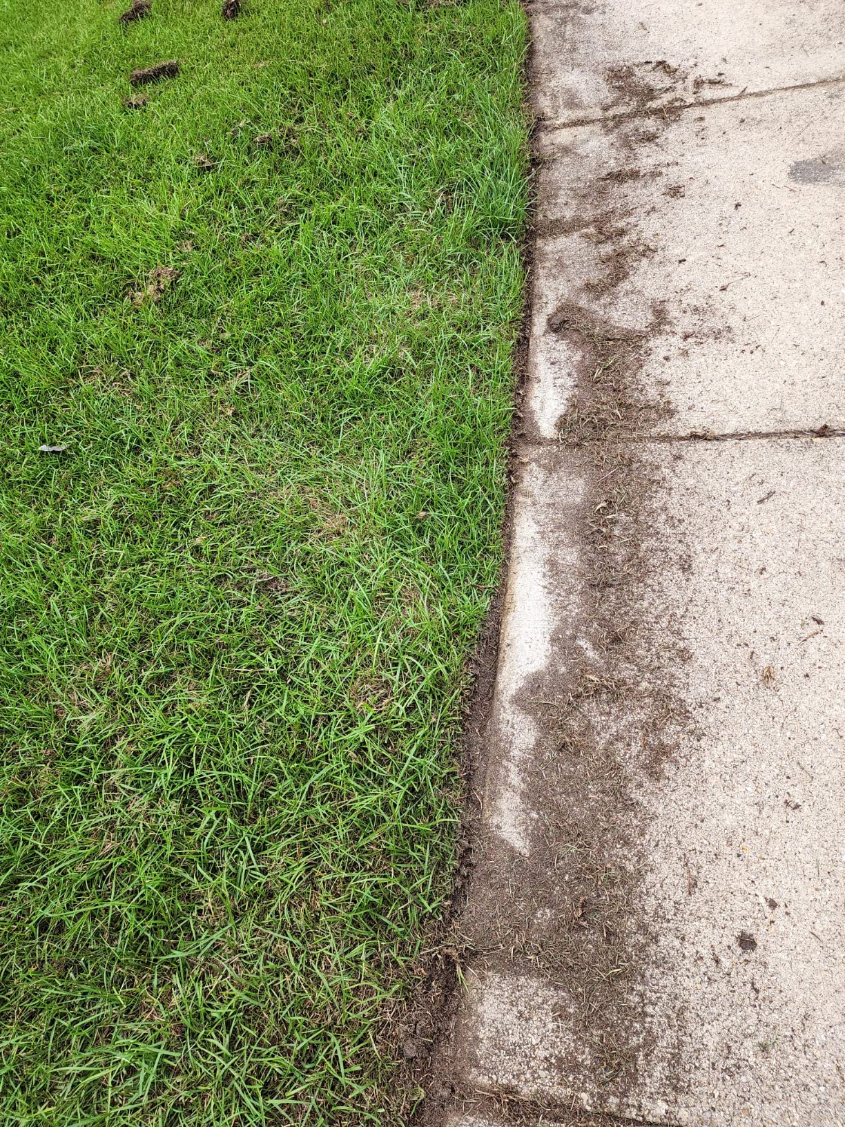 WORX Electric Lawn Edger, 12 Amp 7.5
