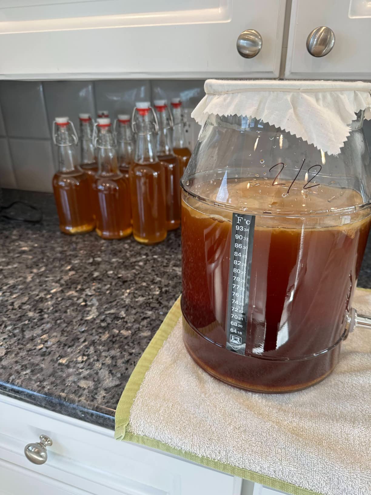 Deluxe Organic Kombucha Starter Kit - Six Swing Top Bottles, Stainless Steel Funnel, Custom Bottle Brush & Our Original Brewing Kit - The Kombucha Shop customer photo 1