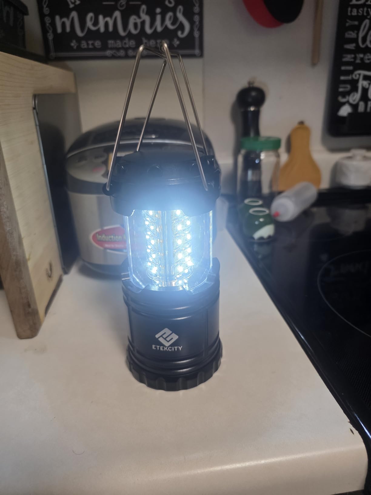 Etekcity LED Camping Lanterns, Battery Operated, 2 Pack | Power Outages, Hurricane Preparedness, Camping, Emergency Kit, Water Resistant, Collapsible Design, Batteries Included customer photo 2