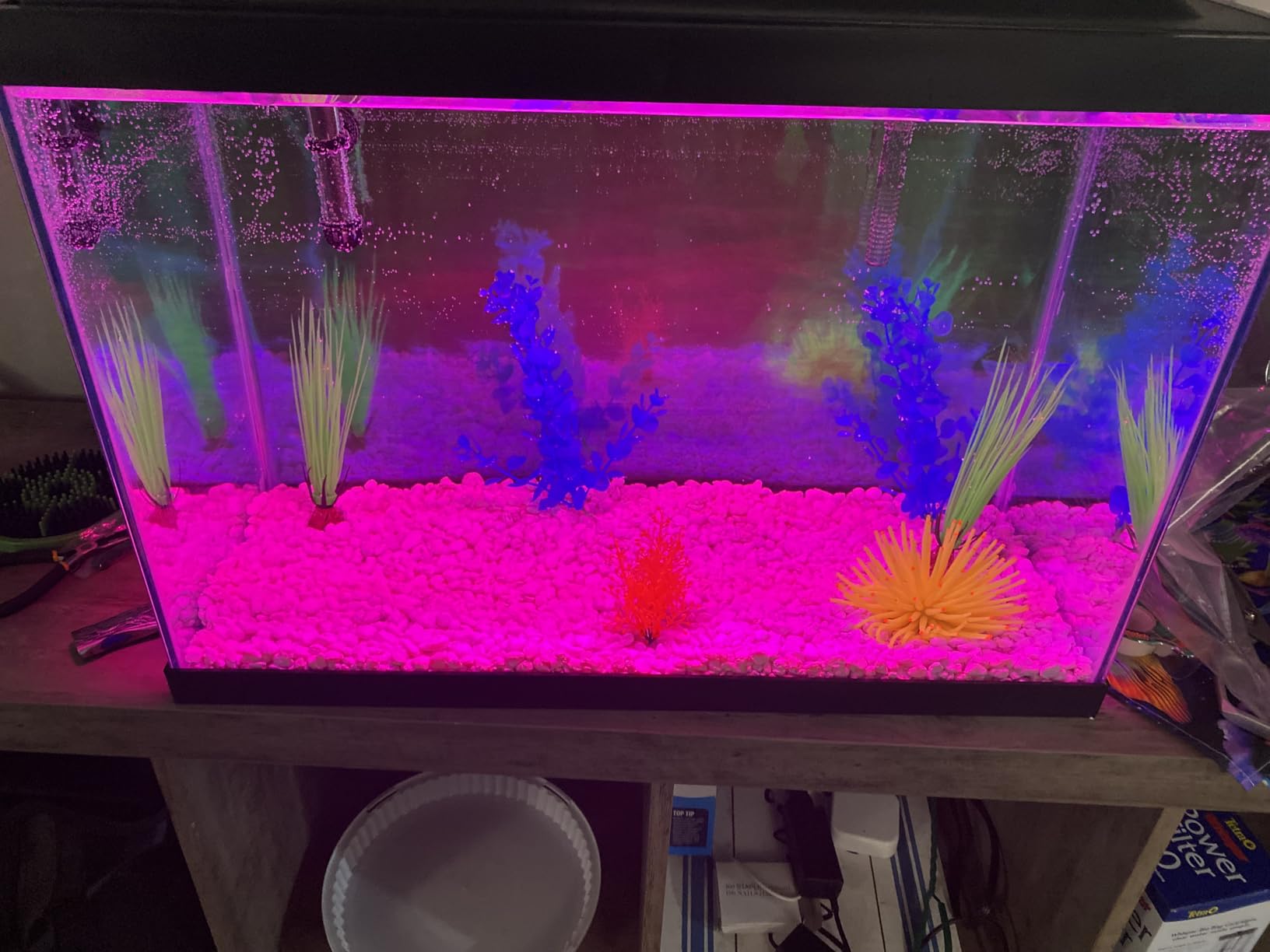 Tetra Complete 20 Gallon Fish Tank Kit for Freshwater & Saltwater Fish | Aquarium Kit Includes White LED, 20 Gallon Glass Tank With Hinged Hood, Filter & Cartridge, Heater, Plants, Samples, Net customer photo 2