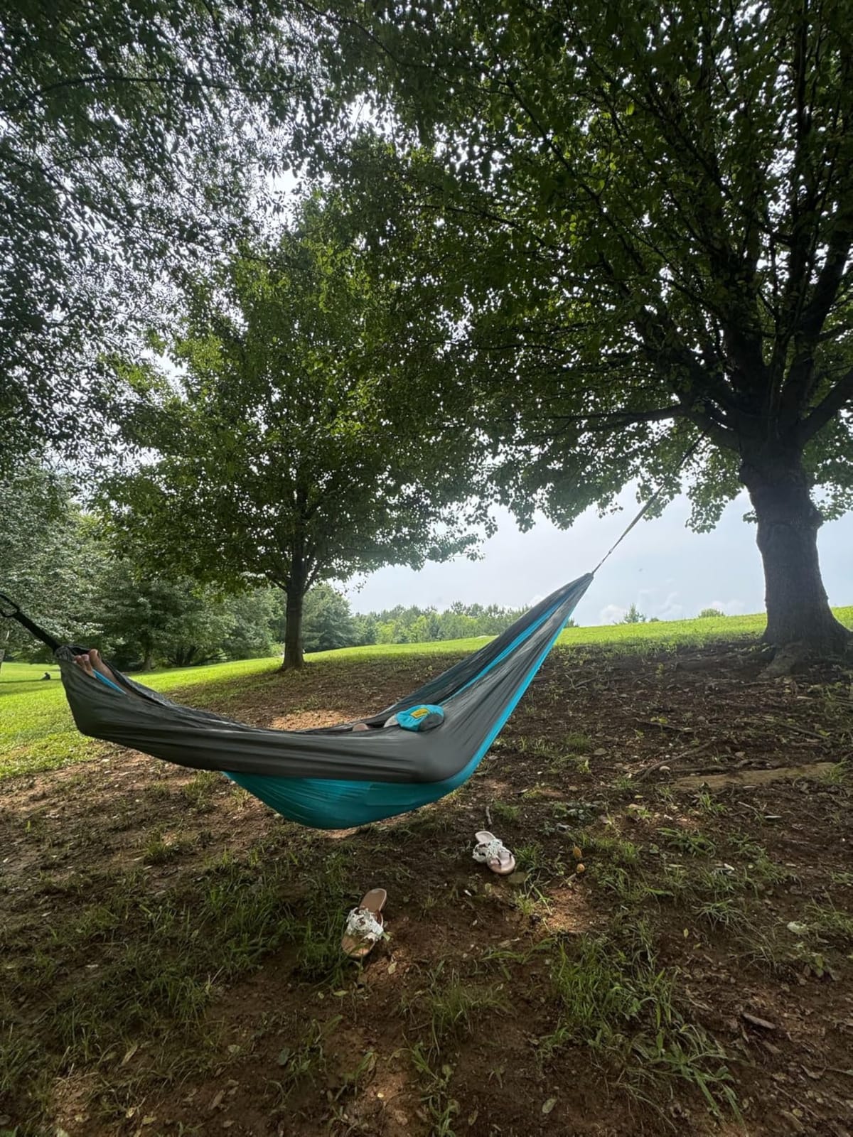 Wise Owl Outfitters Hammock for Camping Single Hammocks Gear for The Outdoors Backpacking Survival or Travel - Portable Lightweight Parachute Nylon SO Lt Blue & Grey customer photo 2