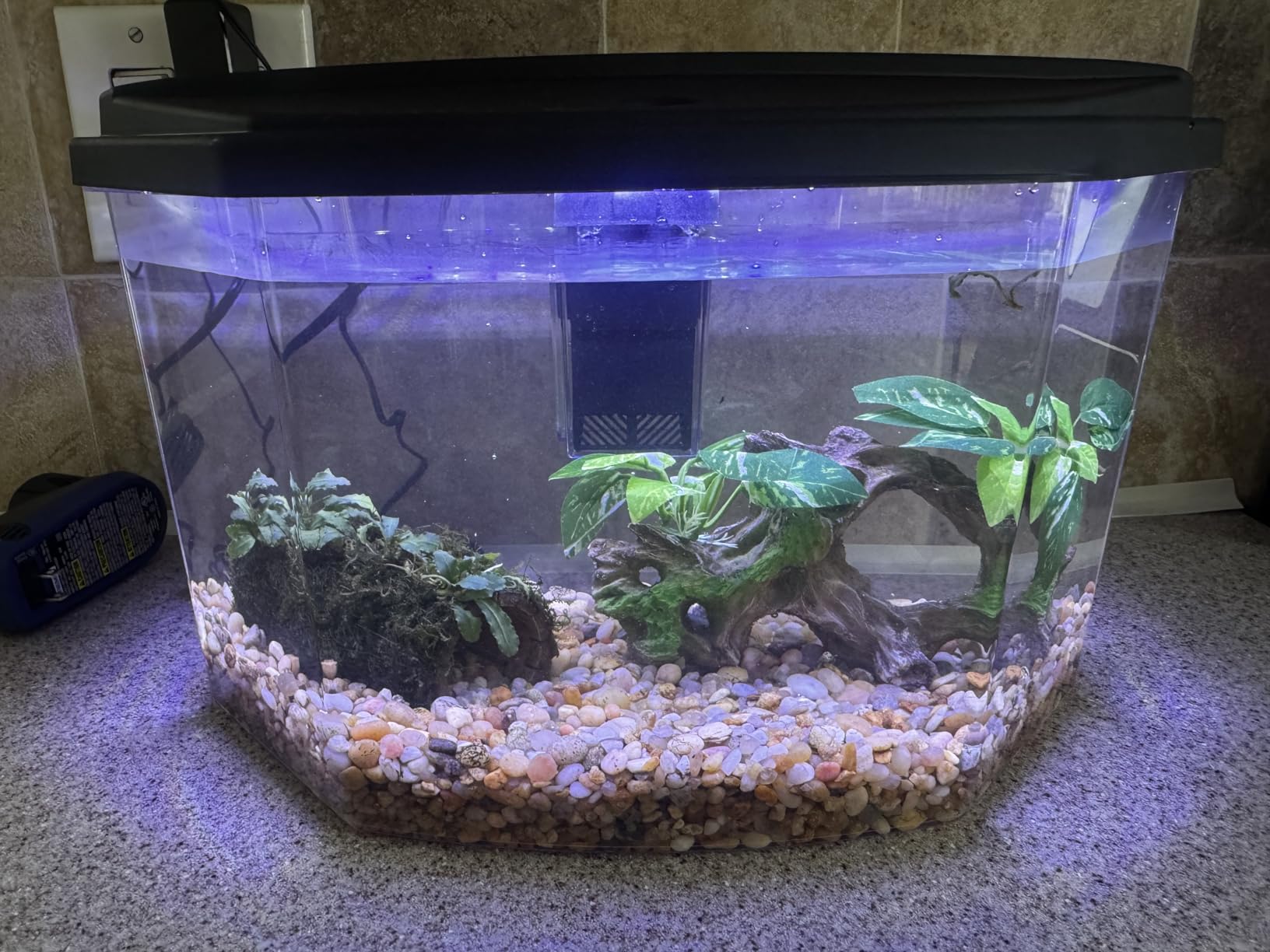 Koller Products 6.5-Gallon Aquarium Kit with Power Filter and LED Lighting, (AP650) customer photo 2