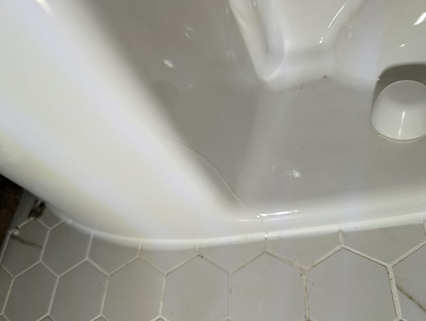 American Standard Champion 4 One Piece Elongated Toilet, 1.6 GPF, White | One Piece Toilet: Right Height Chair Height Bowl, Large Clog-Free 4 In Flush Valve, Slow Close Seat Included | 2034314.020 customer photo 2