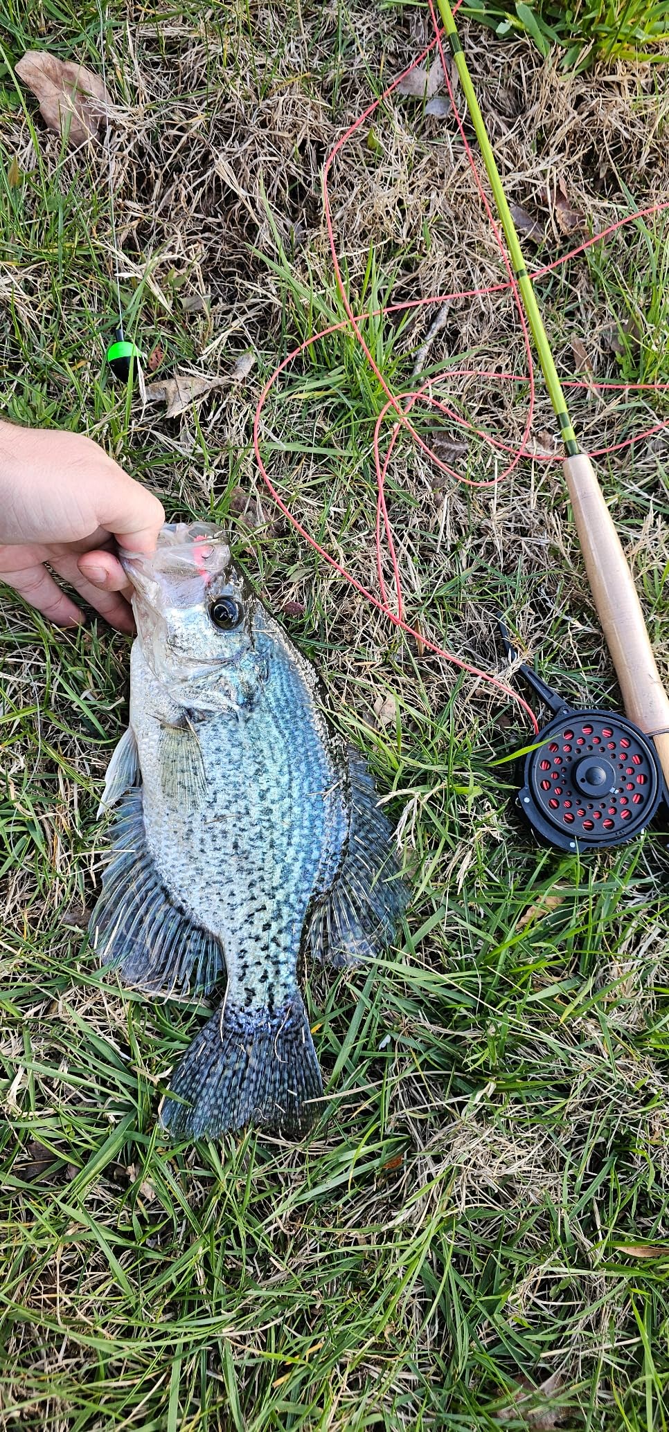 Maxcatch Ultra-Lite Fly Rod for Stream River Panfish/Trout Fishing 1/2/3 Weight and Combo Set Available customer photo 2