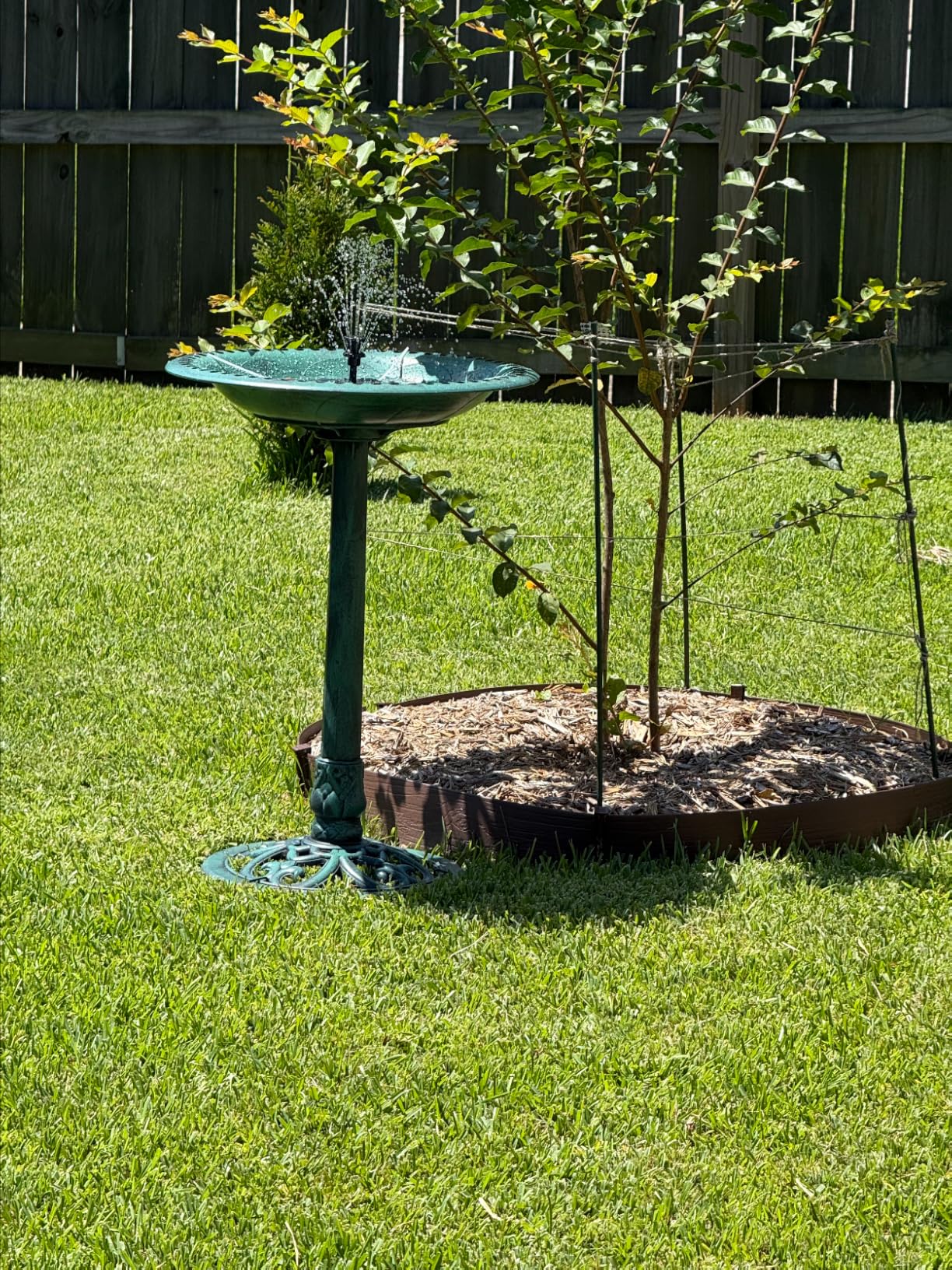 Best Choice Products 28in Pedestal Bird Bath, Vintage Outdoor Resin Accent Decoration w/Fleur-de-Lis Accents - Green customer photo 1
