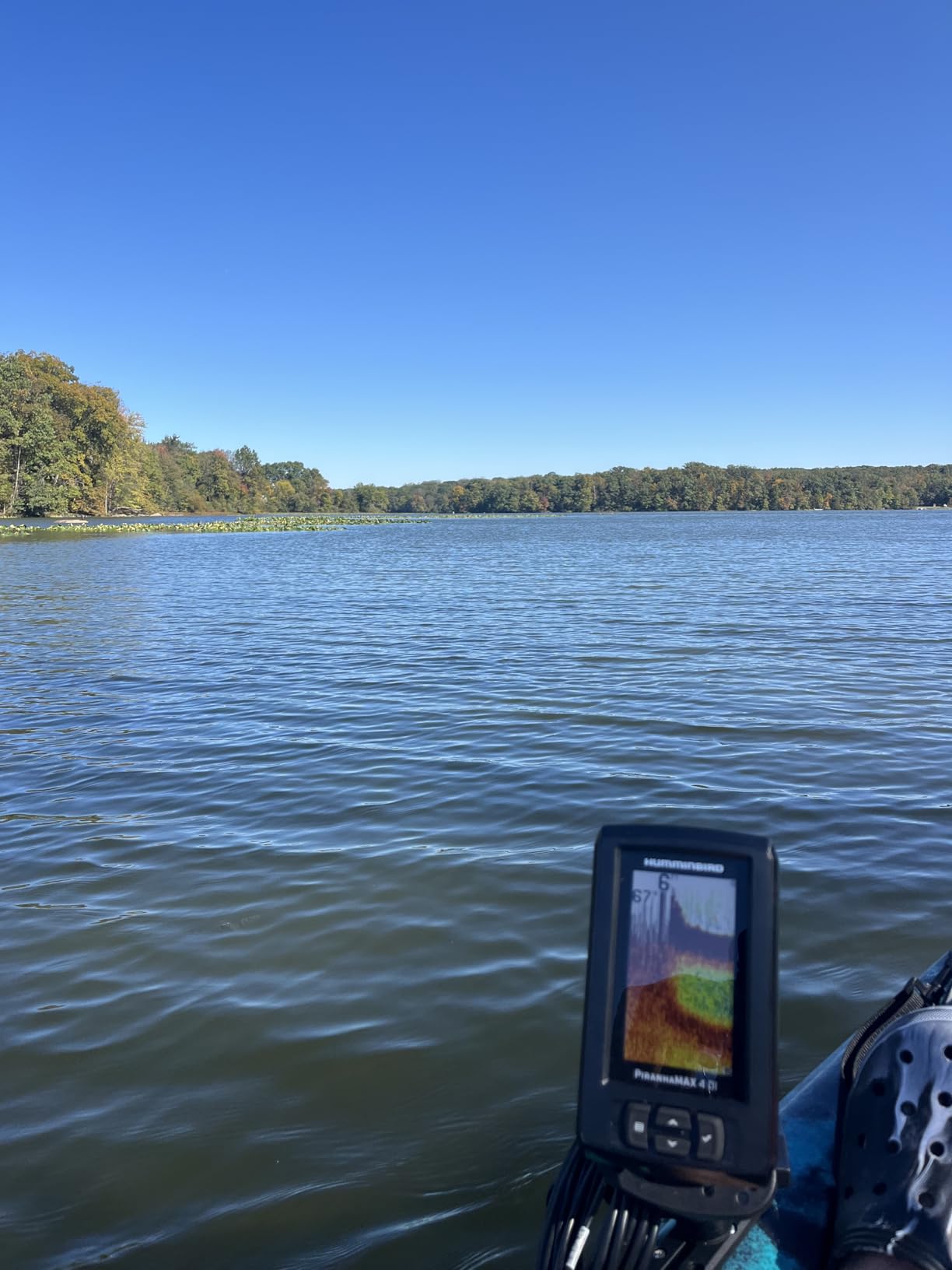 Humminbird PiranhaMAX 4 Fish Finder, Down Imaging customer photo 1