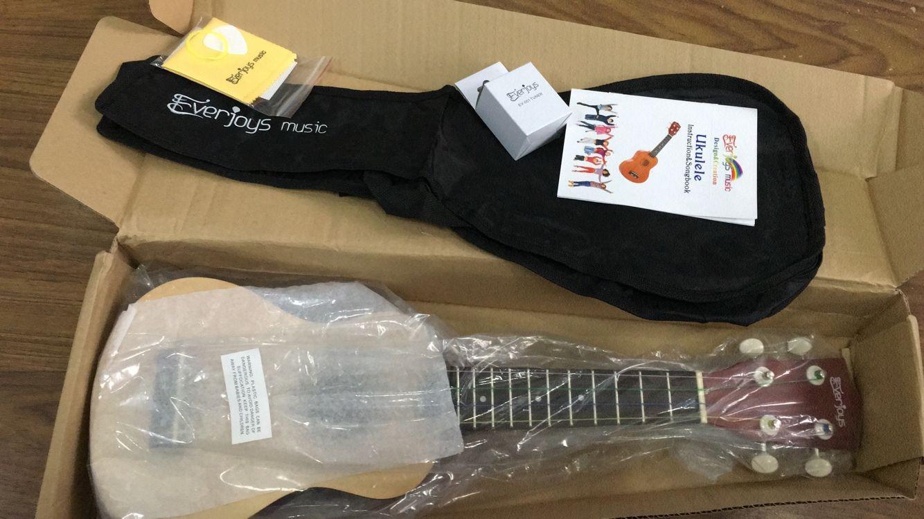 Everjoys Soprano Ukulele Beginner Kit 21 Inch w/Free Online Lesson Gig Bag Tuner Picks Strap customer photo 2