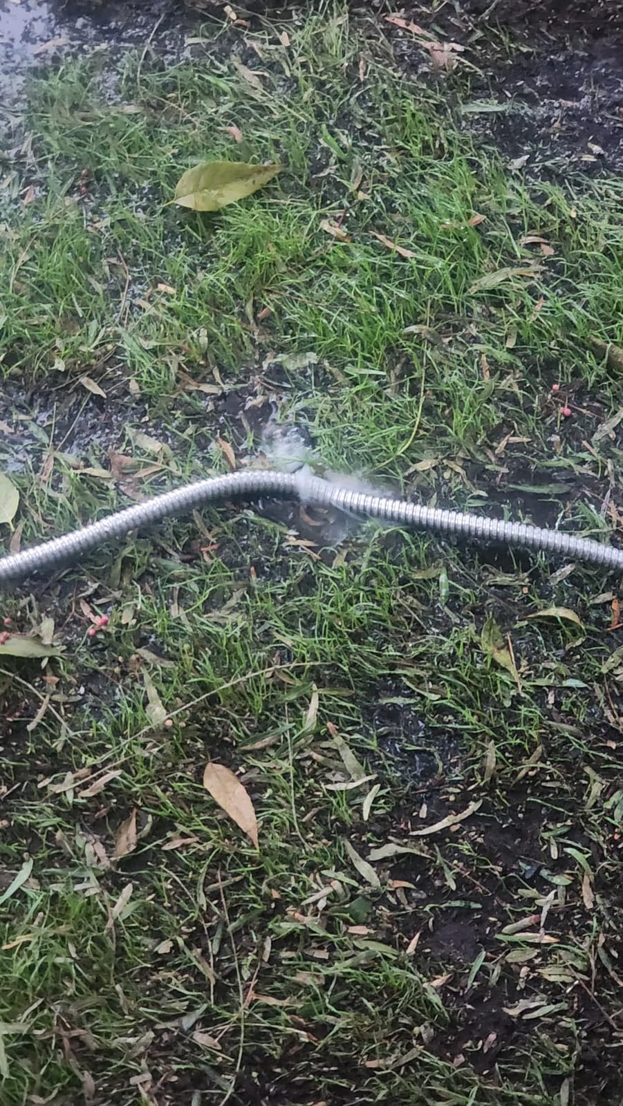 BIONIC STEEL 100 Ft Metal Garden Hose with Sprayer Nozzle | Non Kinking Design, Stainless Steel Heavy Duty Water Hose 100 Ft x 5/8 in. Flexible & NON Expandable for Water Flow, 500 PSI customer photo 1