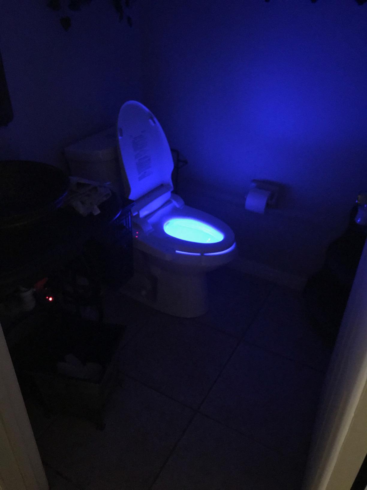 Brondell SE400-EW Swash SE400 Electric Bidet Toilet Seat With Heated Seat, Oscillating Stainless Steel Nozzle, Warm Air Dryer, Night Light, Gentle Close Lid, White Side Arm Control, Elongated customer photo 1