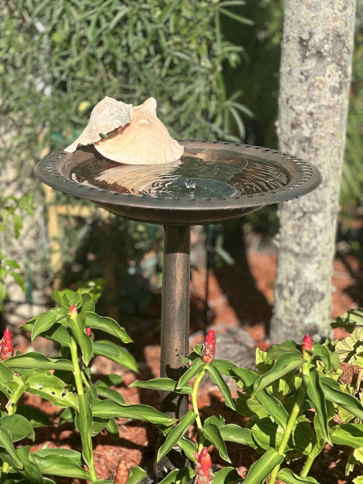 VIVOHOME Bird Bath for Outside, Polyresin Pedestal Birdbath, Green | Weather-Resistant, 20-Inch Bowl, 28-Inch Height, for Outdoor/Garden, Bird-Friendly, Easy to Clean customer photo 1