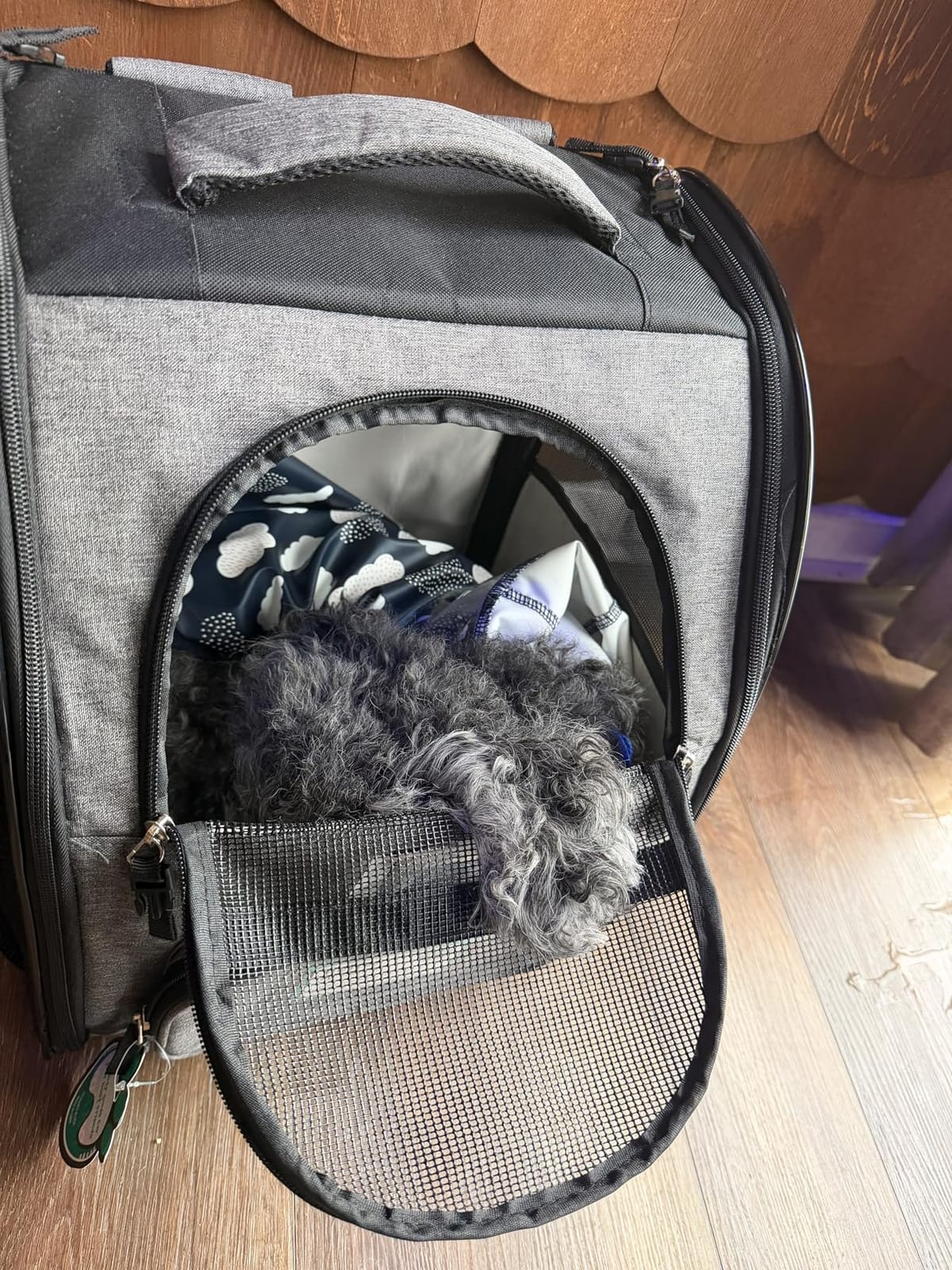 PetAmi Dog Backpack Carrier Airline Approved Cat Pet Puppy Bag, Grey customer photo 2