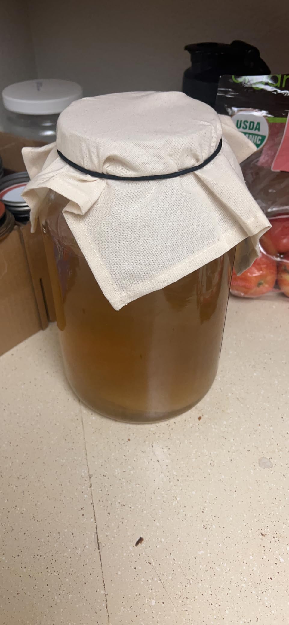 Kombucha Essentials Kit - Includes USDA Organic Kombucha SCOBY + 1-Gallon Glass Fermenting Jar with Breathable Cover + pH Strips + Rubber Band + Adhesive Thermometer - Brew kombucha at Home customer photo 1