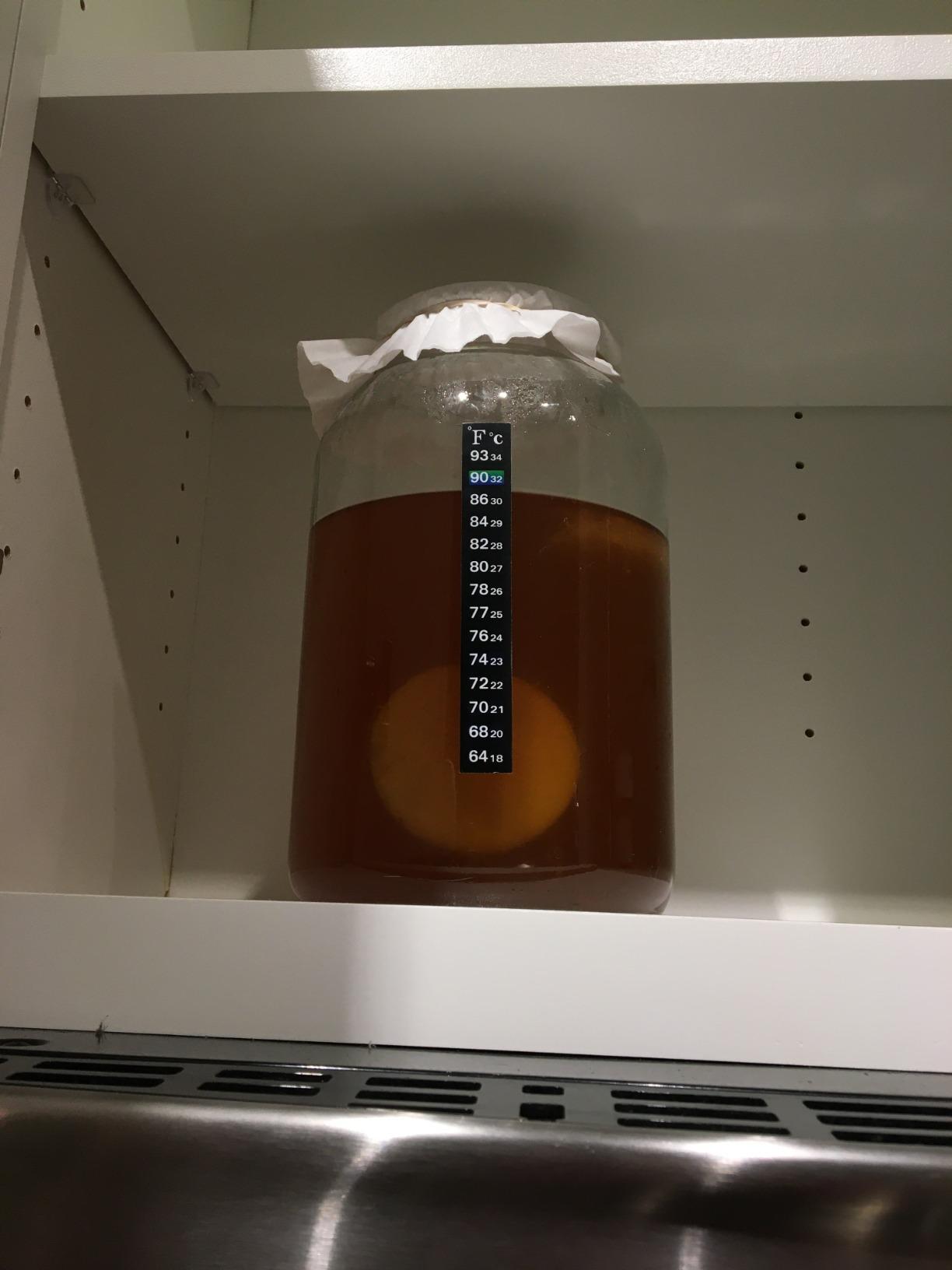 Kombucha Starter Kit with Everything to Brew Kombucha at Home. Kombucha Brewing Kit with SCOBY, Starter Tea, Organic Sugar, pH Strips, Thermometer Strip, Instructions, & More customer photo 1