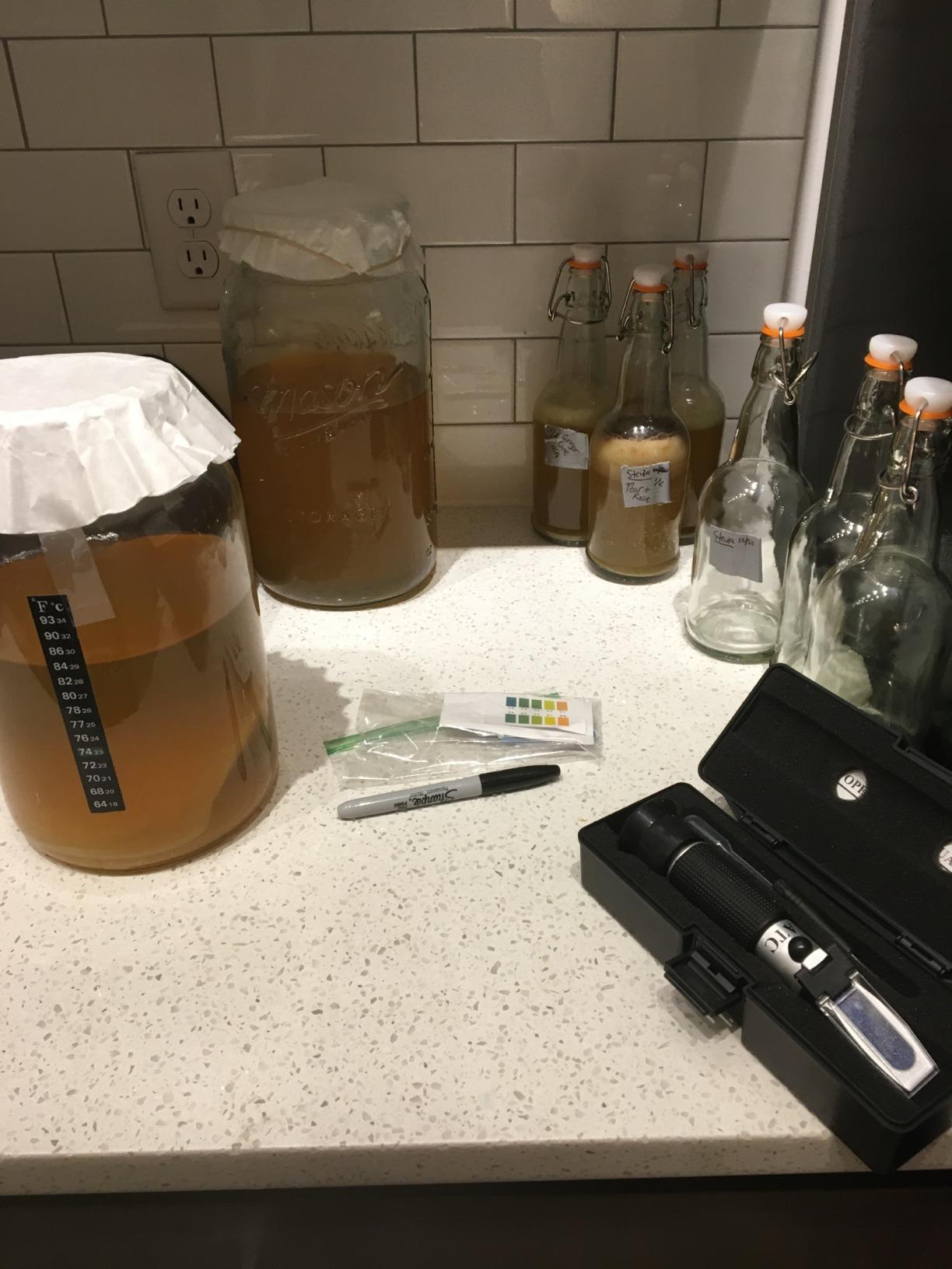 Kombucha Starter Kit with Everything to Brew Kombucha at Home. Kombucha Brewing Kit with SCOBY, Starter Tea, Organic Sugar, pH Strips, Thermometer Strip, Instructions, & More customer photo 2