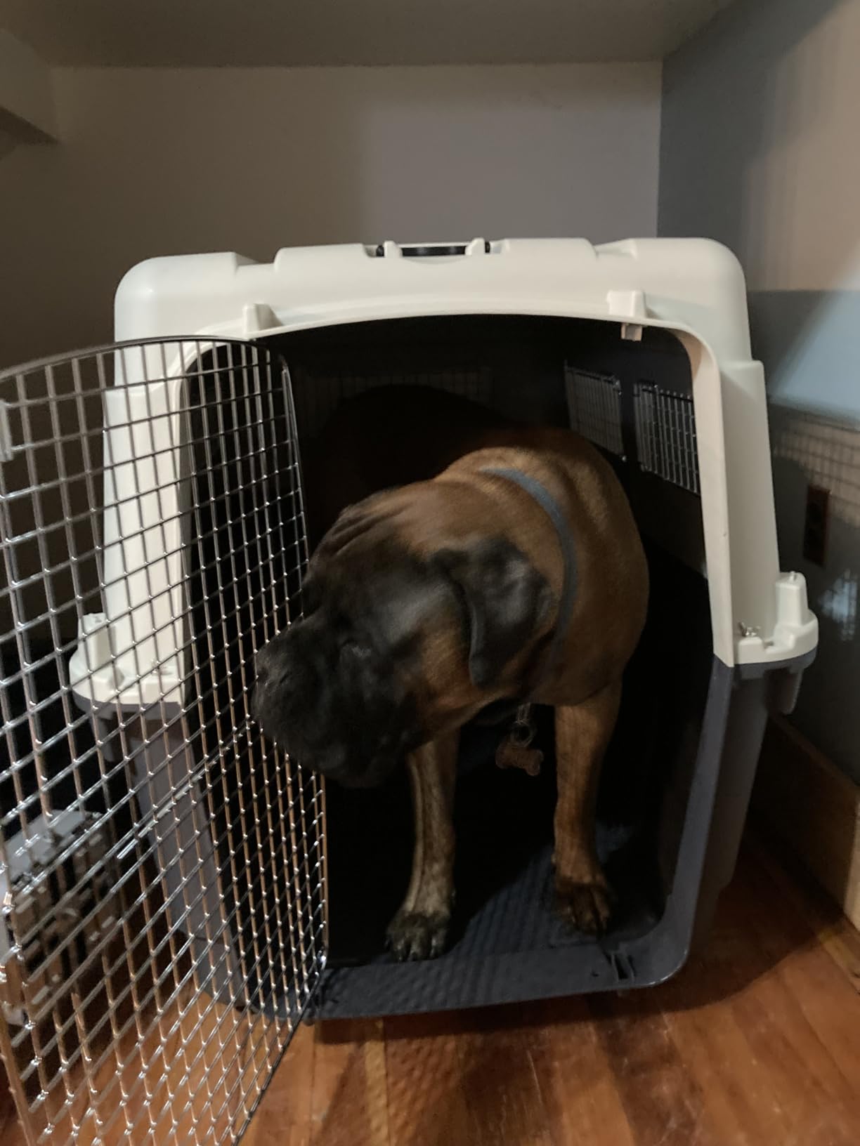 SportPet Airline Compliant LARGE 31.5