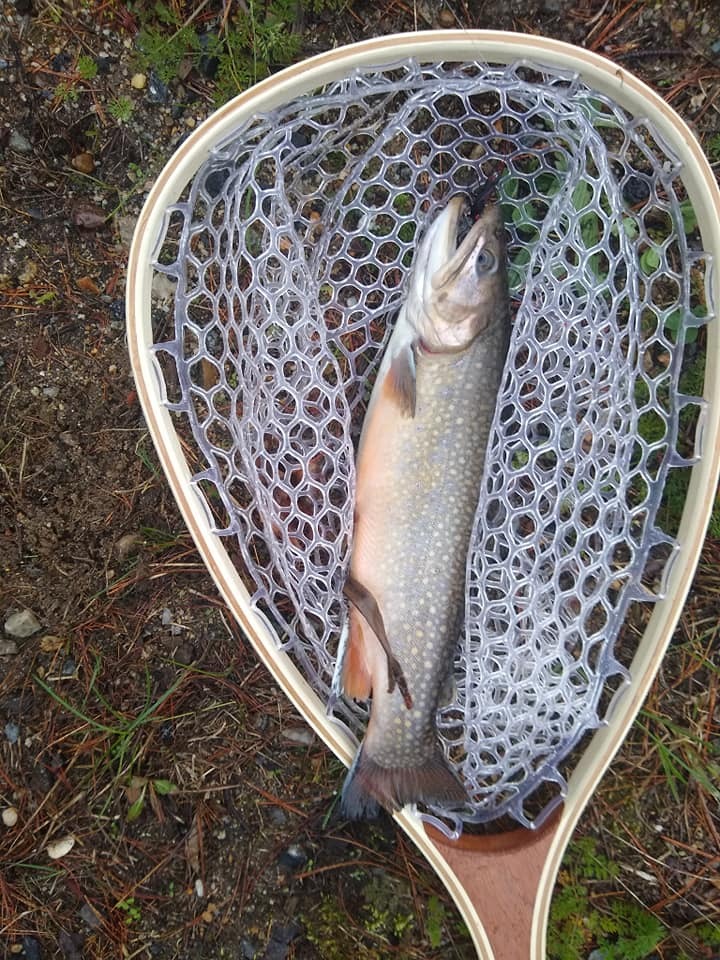 St. Croix Rods Mojo Trout Fly Fishing Rod customer photo 1