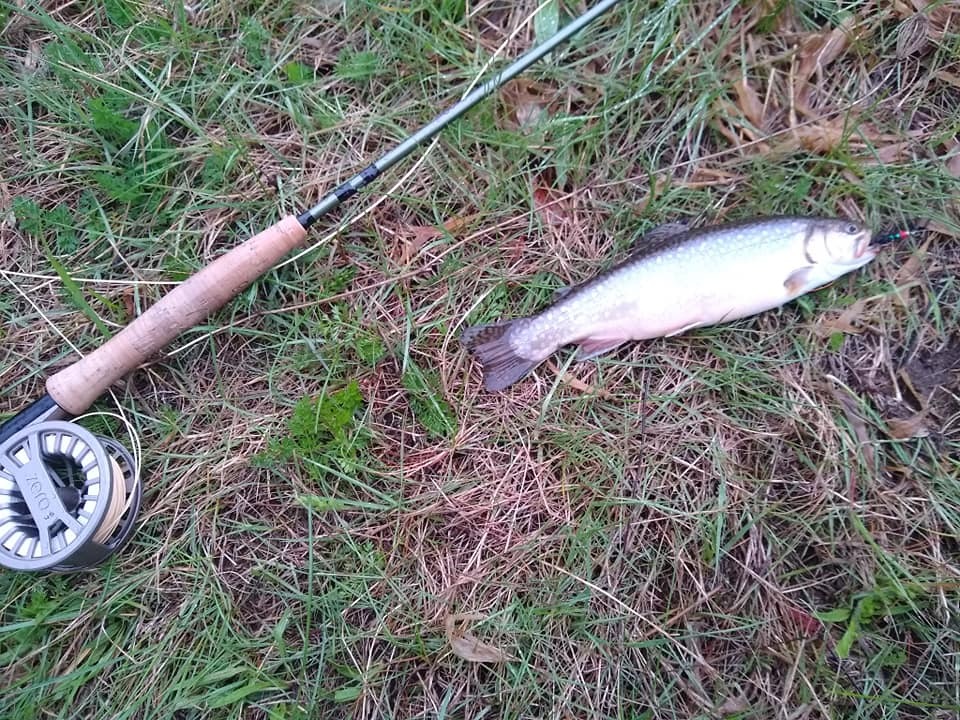 St. Croix Rods Mojo Trout Fly Fishing Rod customer photo 2