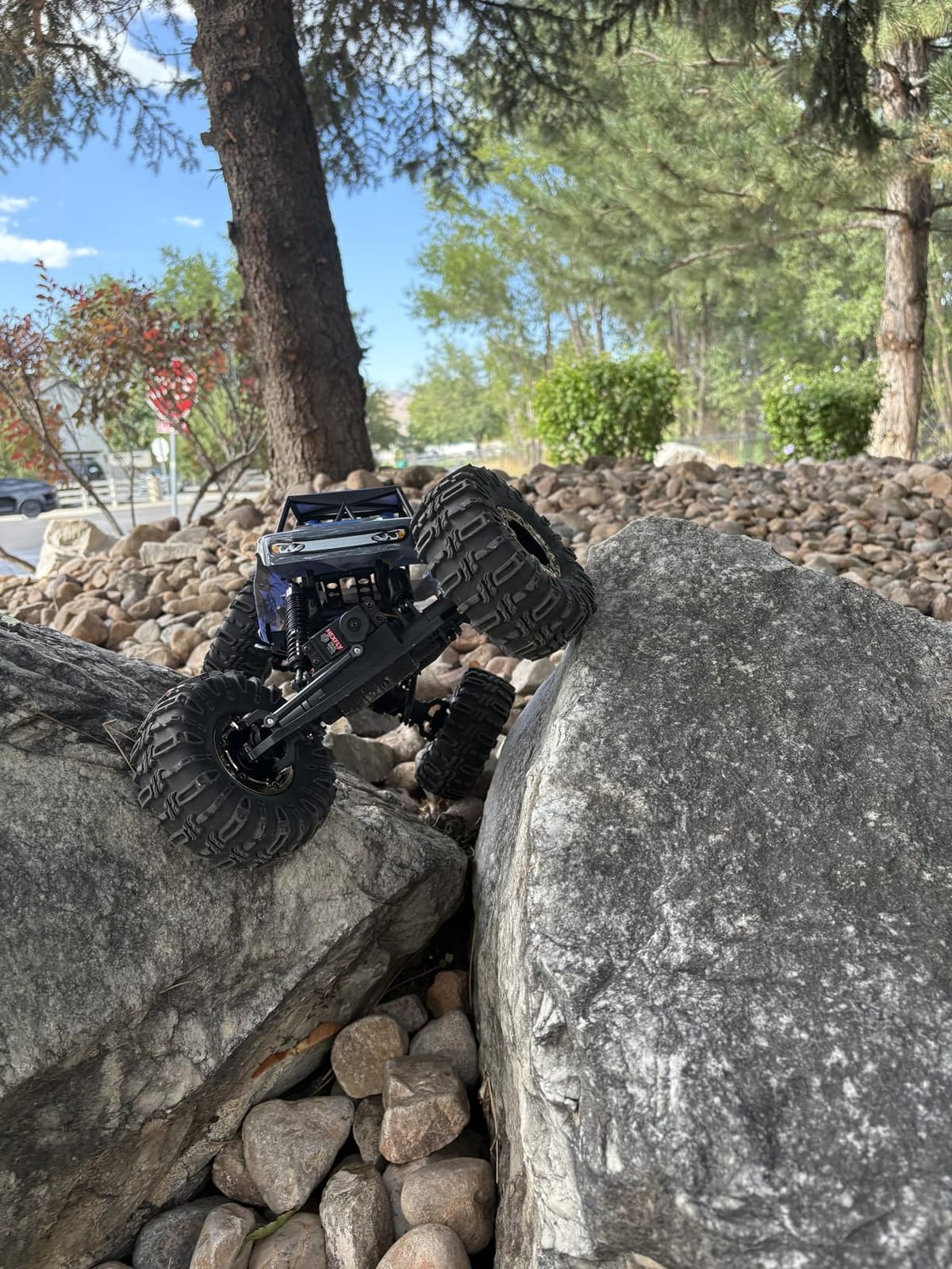 Redcat Racing Danchee Ridgerock 1/10 Scale 4WD Electric RC Rock Crawler - RC Truck RTR with 2.4GHz Radio, Dual Motors, 4-Wheel Steering, USB Charger with RC Crawler Li-ion Battery customer photo 1